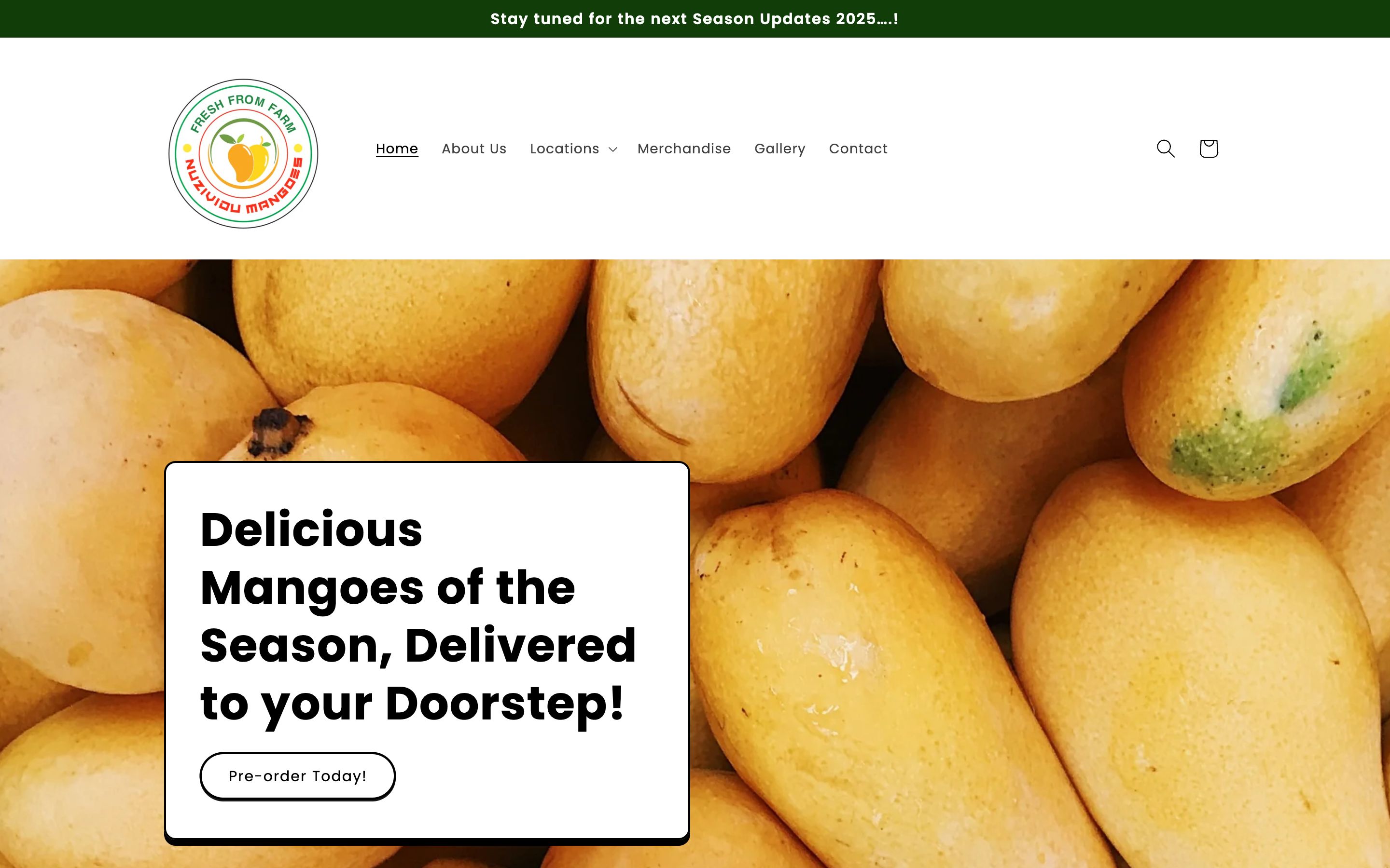 Nuzividu Mangoes screenshot 4