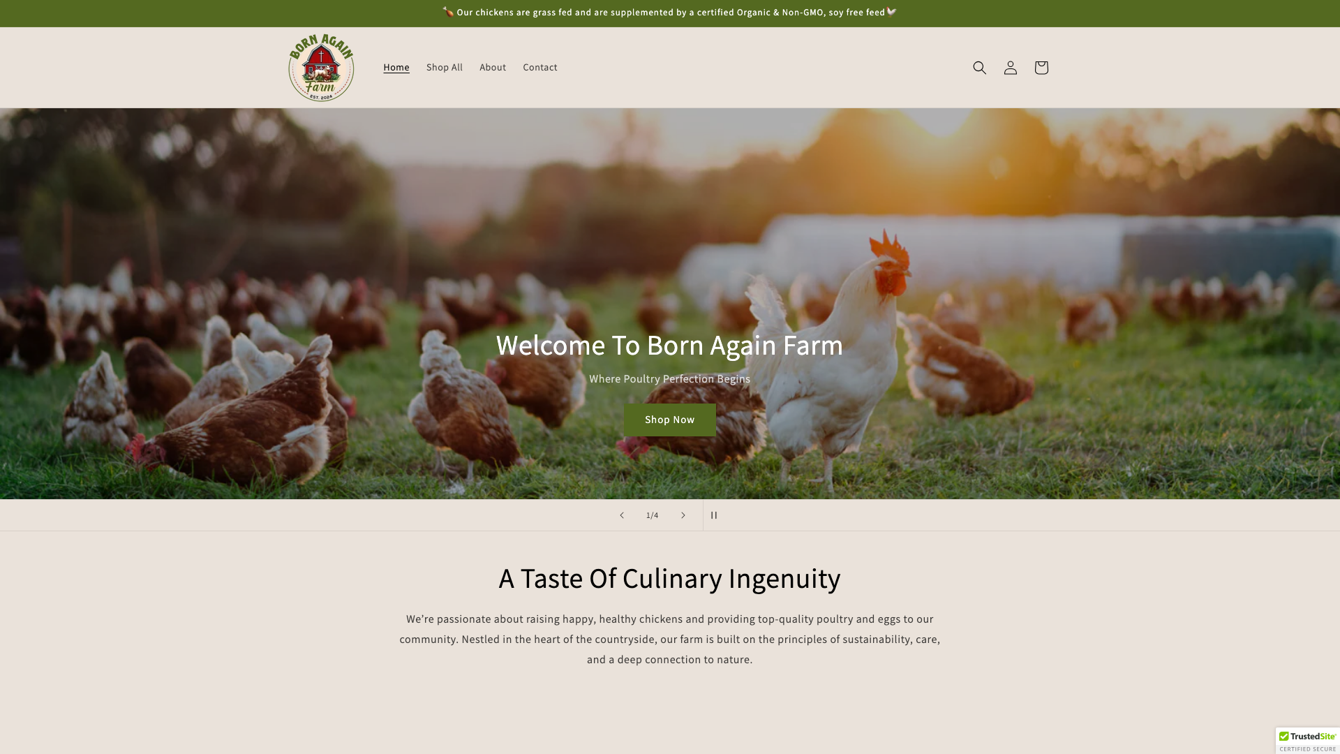 🍗 Born Again Farm