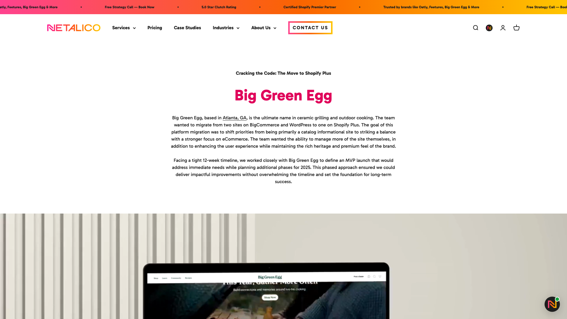 Big Green Egg screenshot