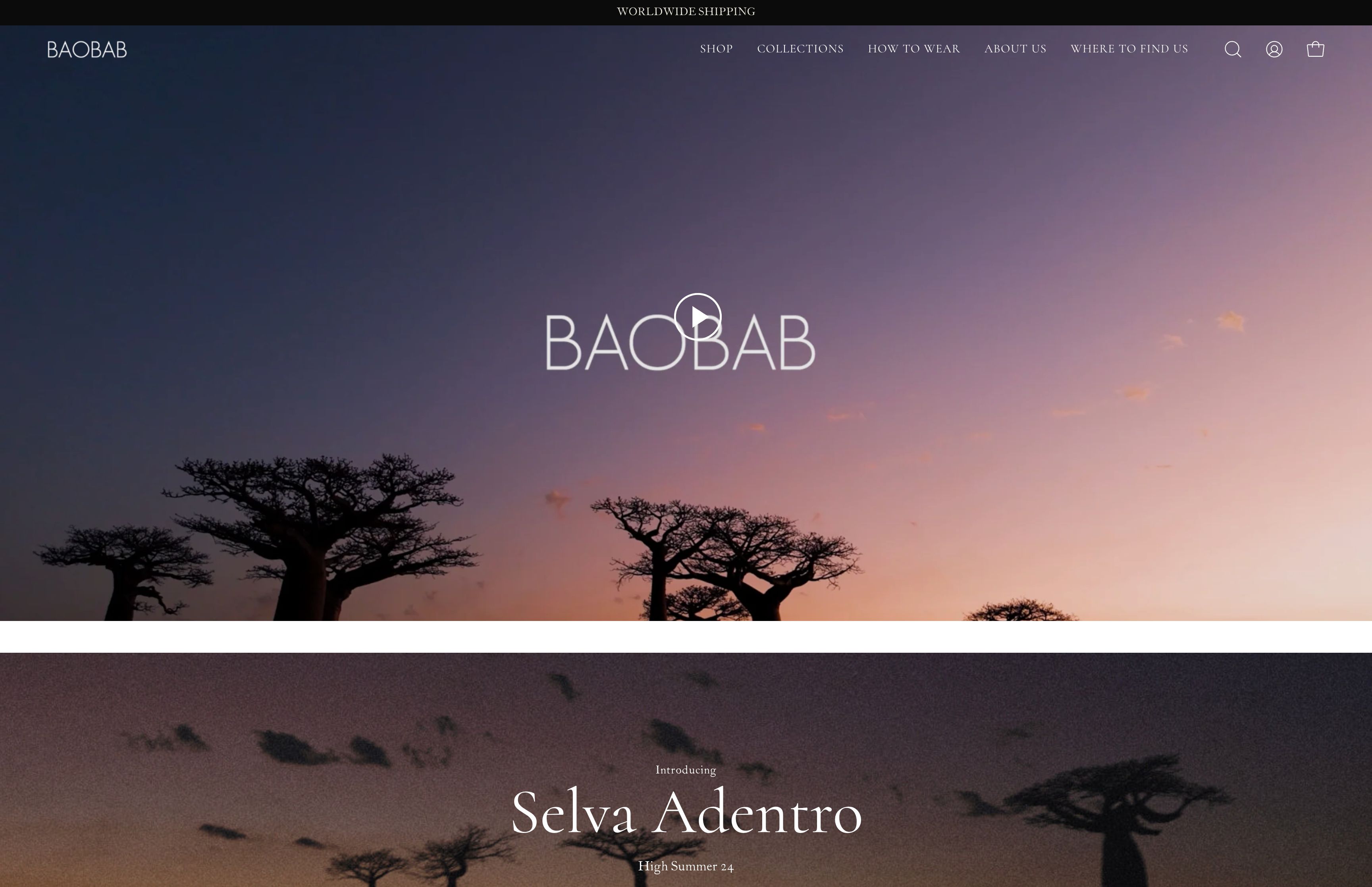 Comprehensive Shopify Store Development & E-commerce Strategies for Baobab
