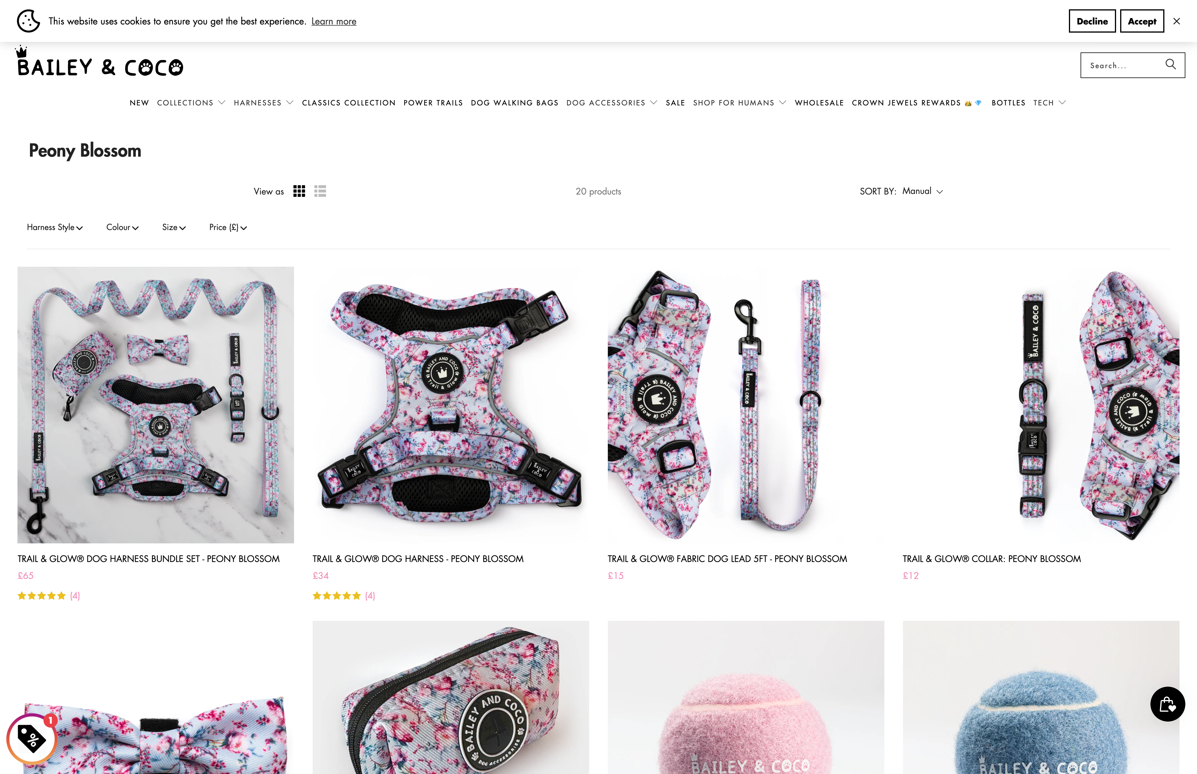 Bailey and Coco screenshot 2