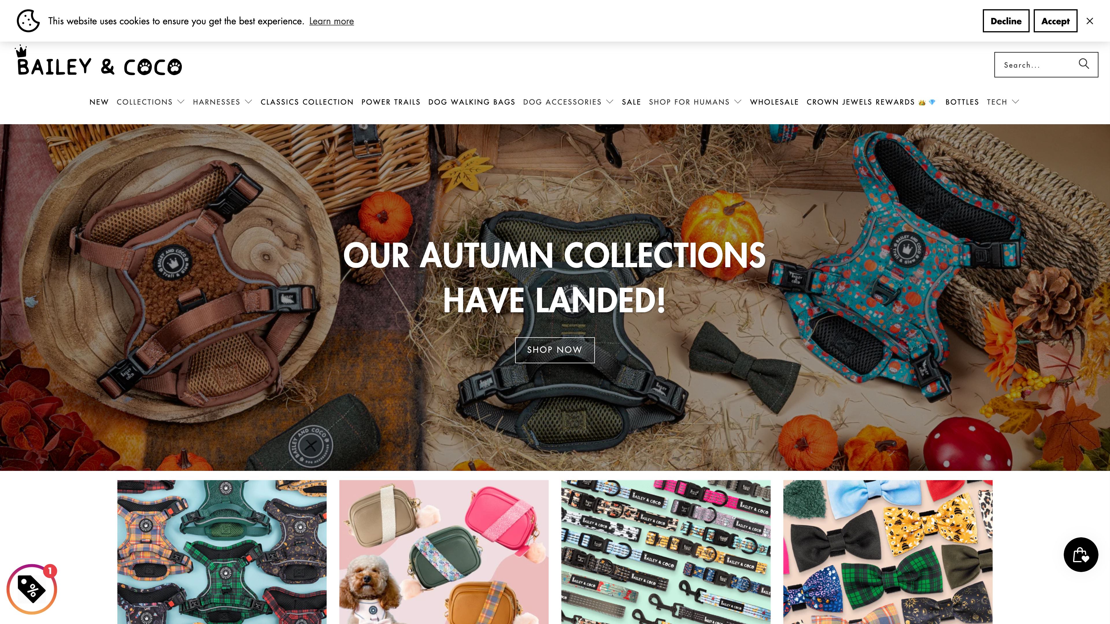 Bailey and Coco screenshot 6