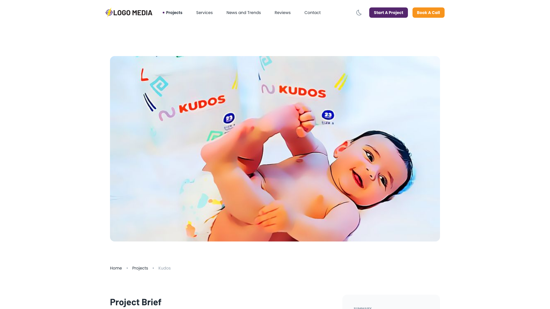 Website Maintenance and Optimization for Kudos Diapers screenshot