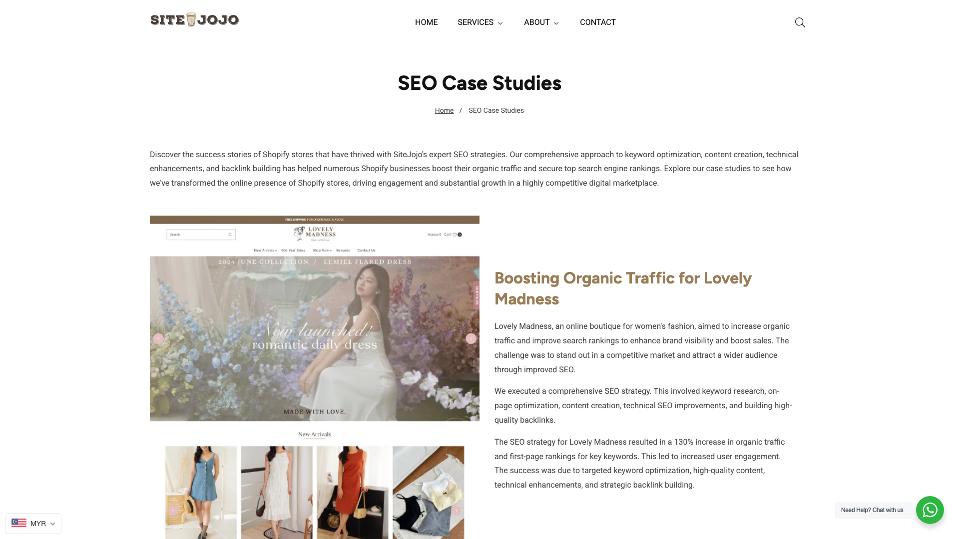 SEO Success Case Studies