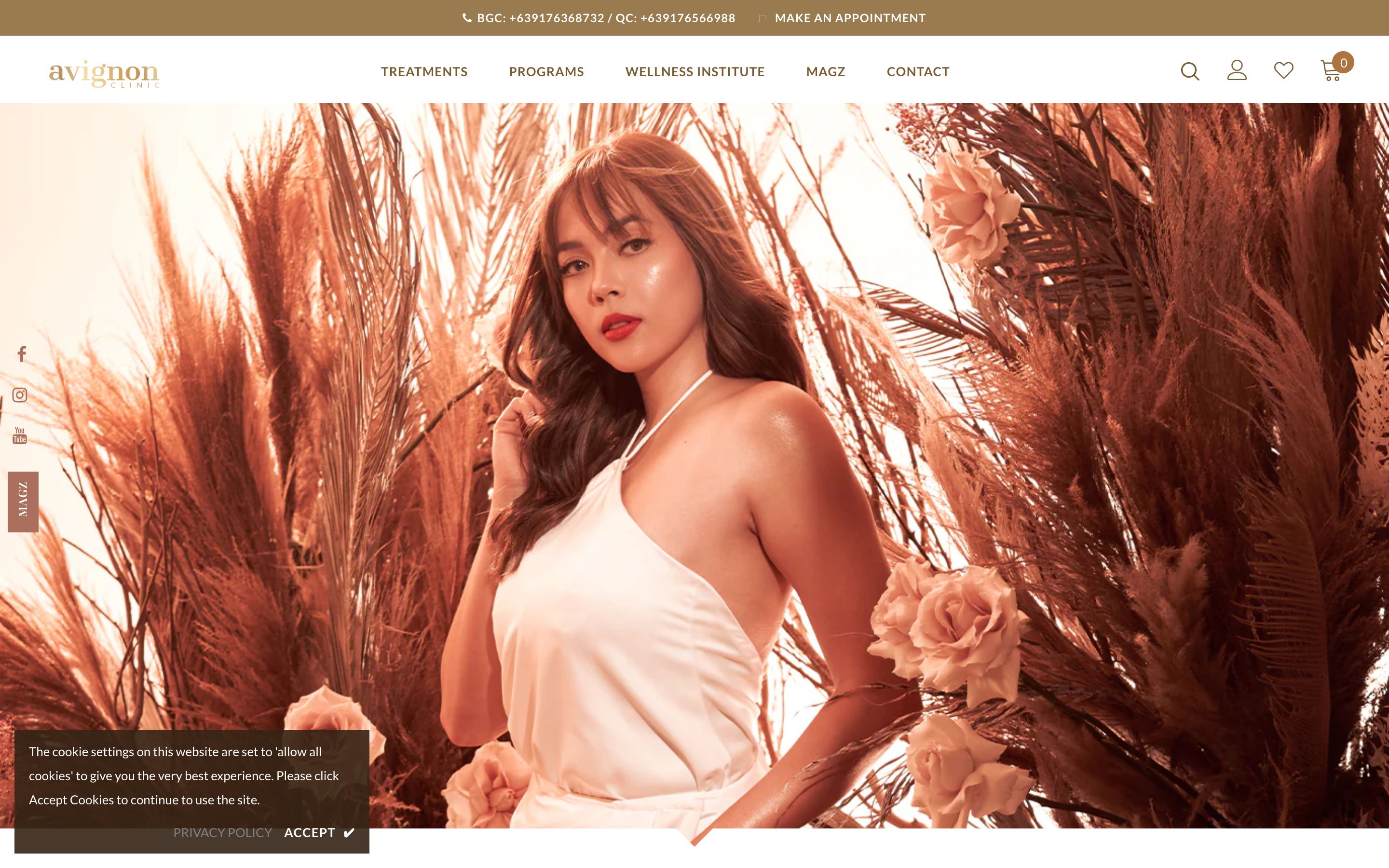 Avignon Clinic Website screenshot 4