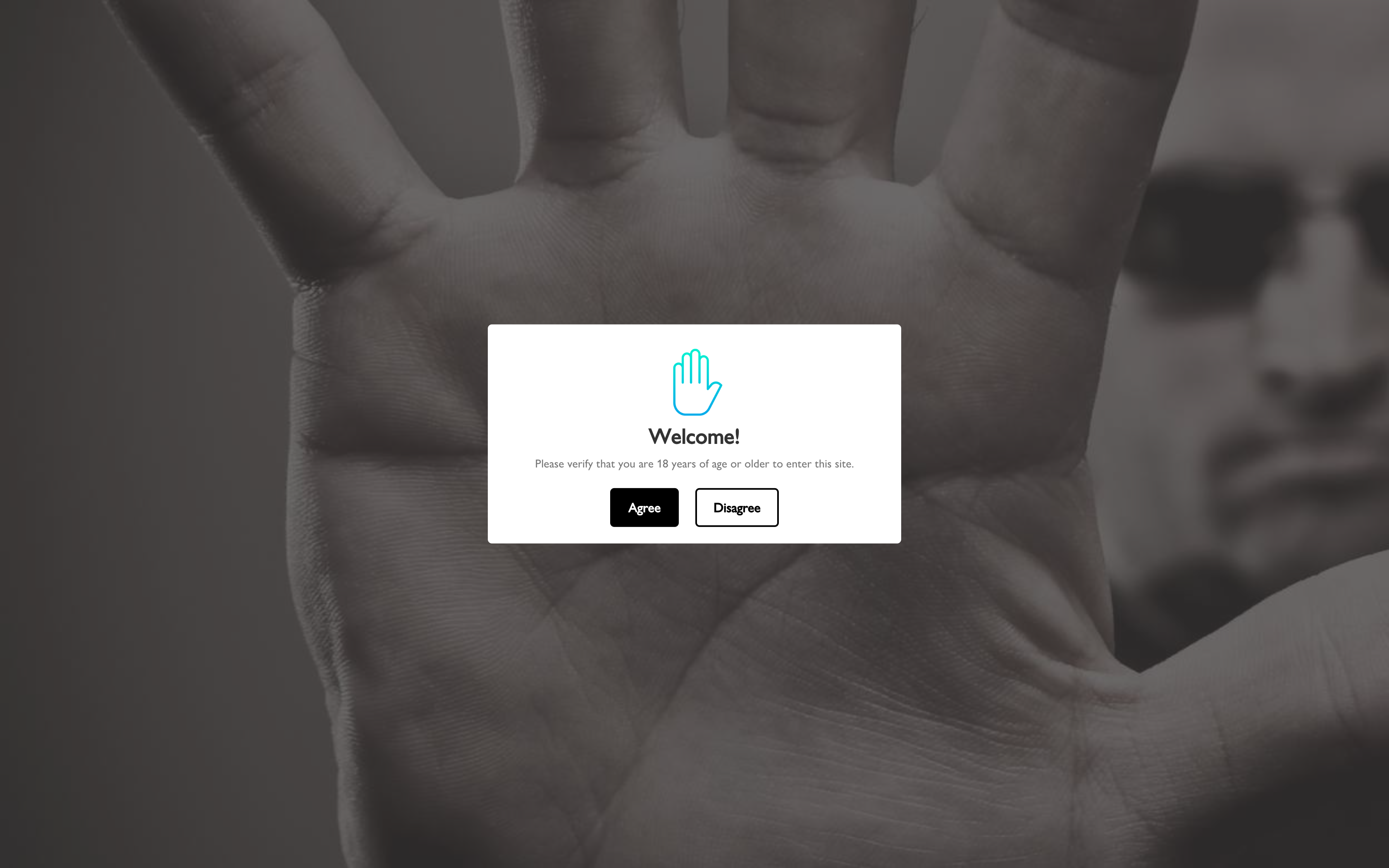 Migration from Wordpress to Shopify screenshot 5