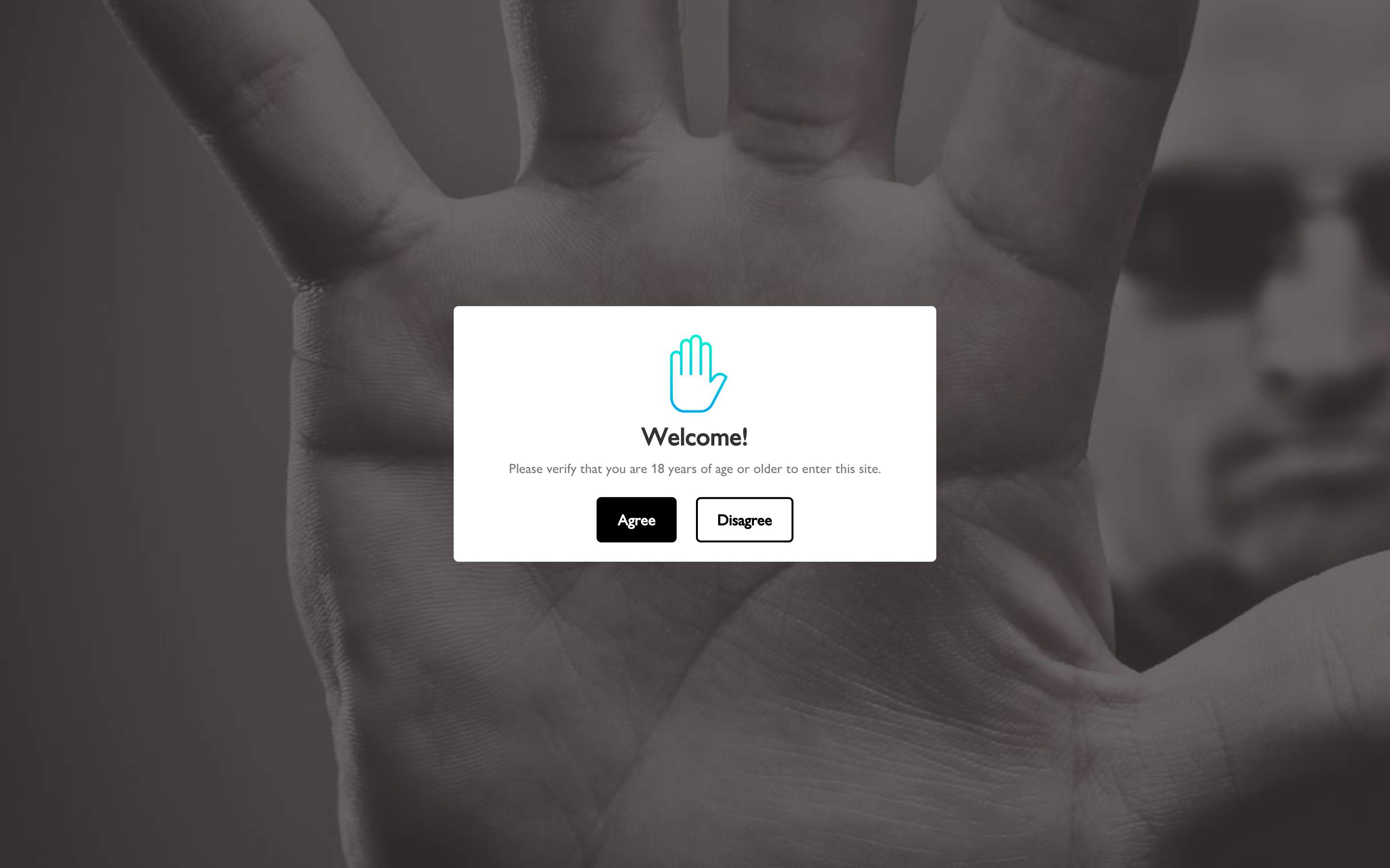 Migration from Wordpress to Shopify screenshot 3