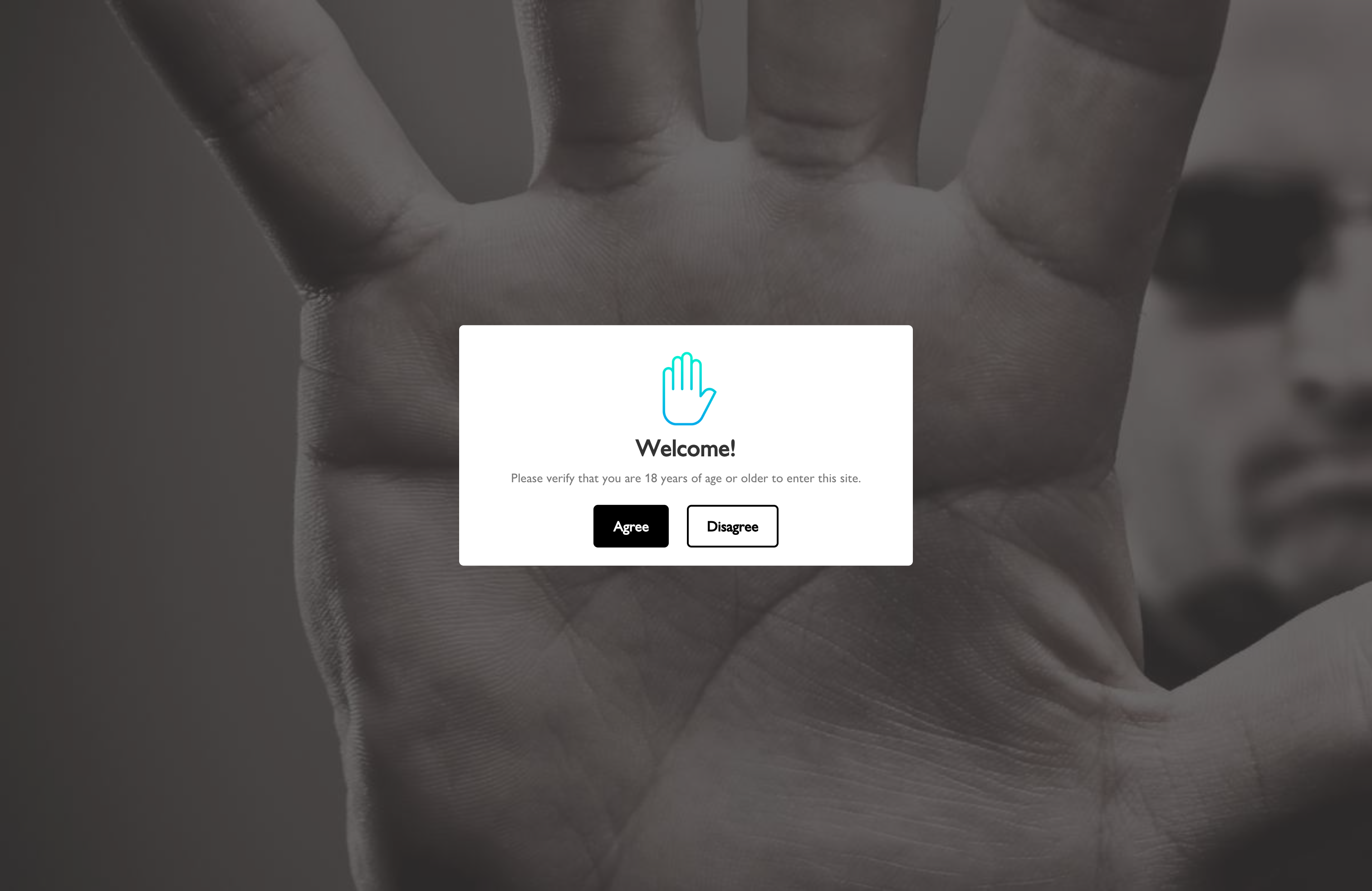 Migration from Wordpress to Shopify screenshot 2