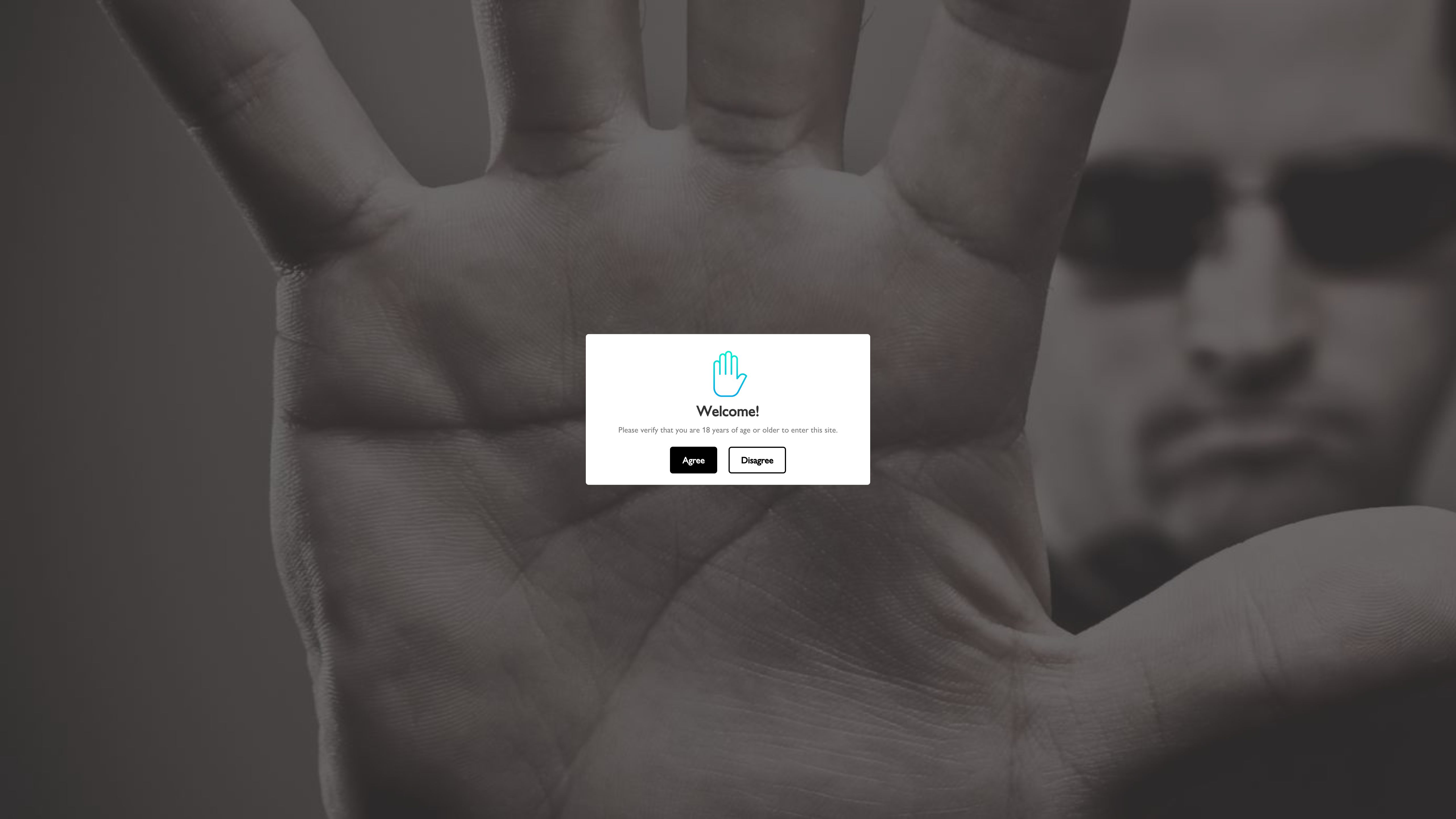 Migration from Wordpress to Shopify screenshot 6