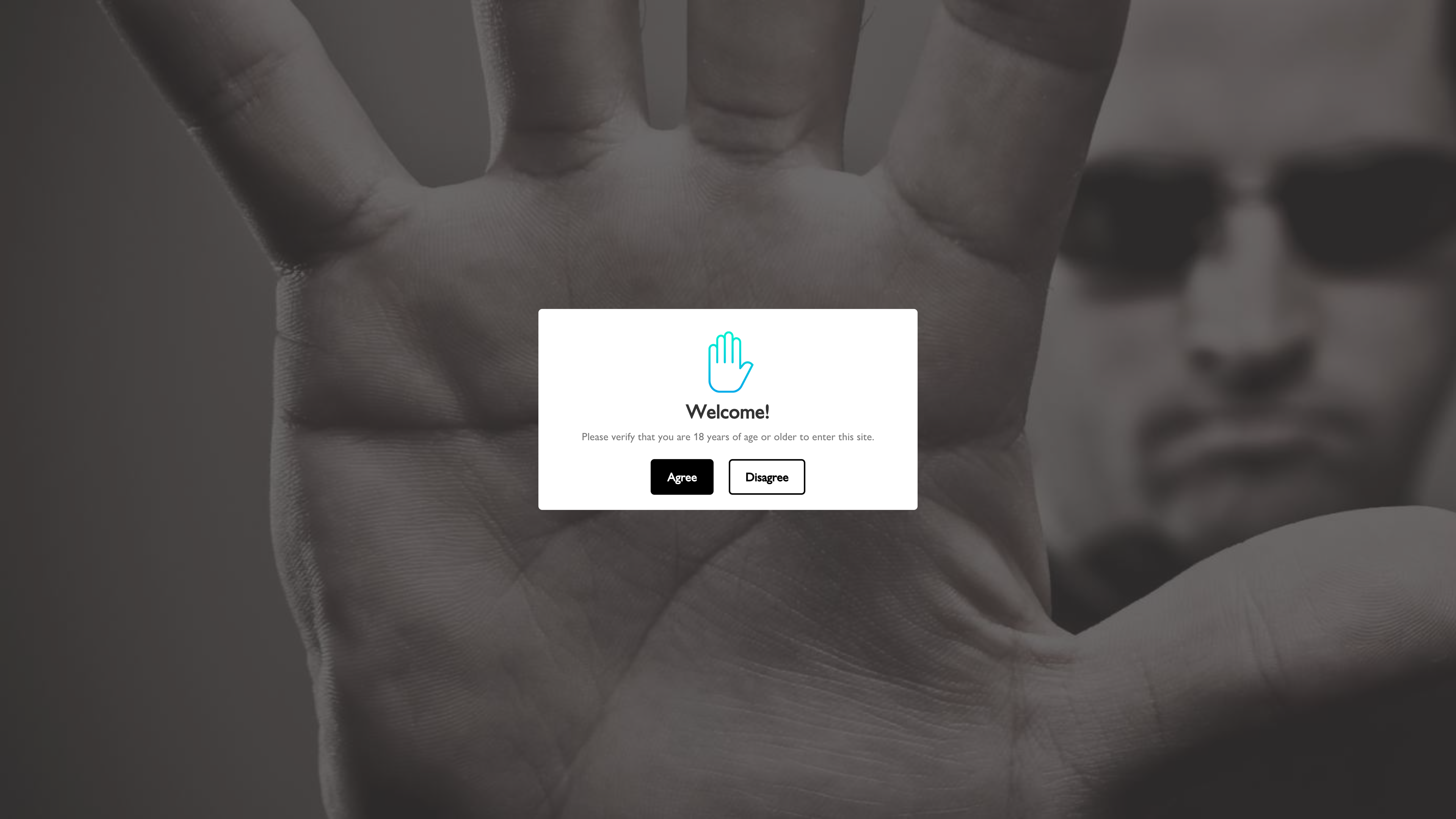 Migration from Wordpress to Shopify screenshot