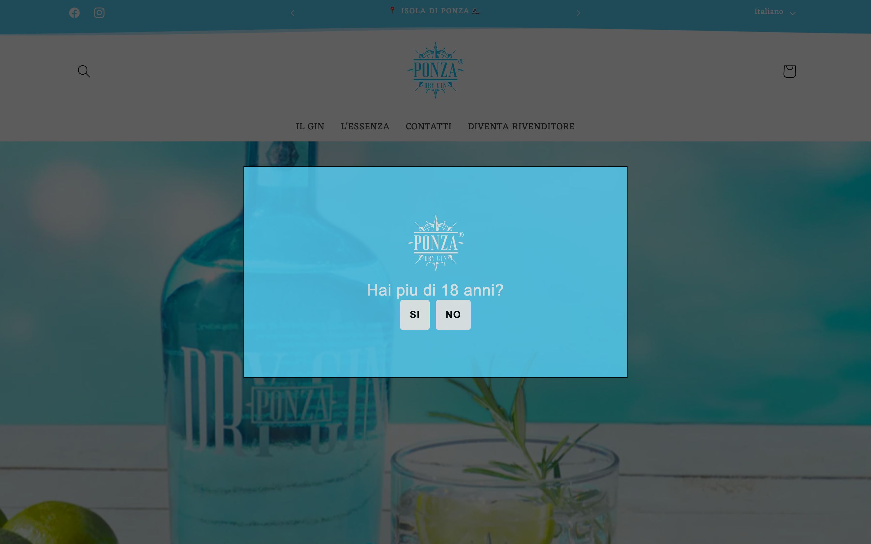 Ponza Dry Gin screenshot
