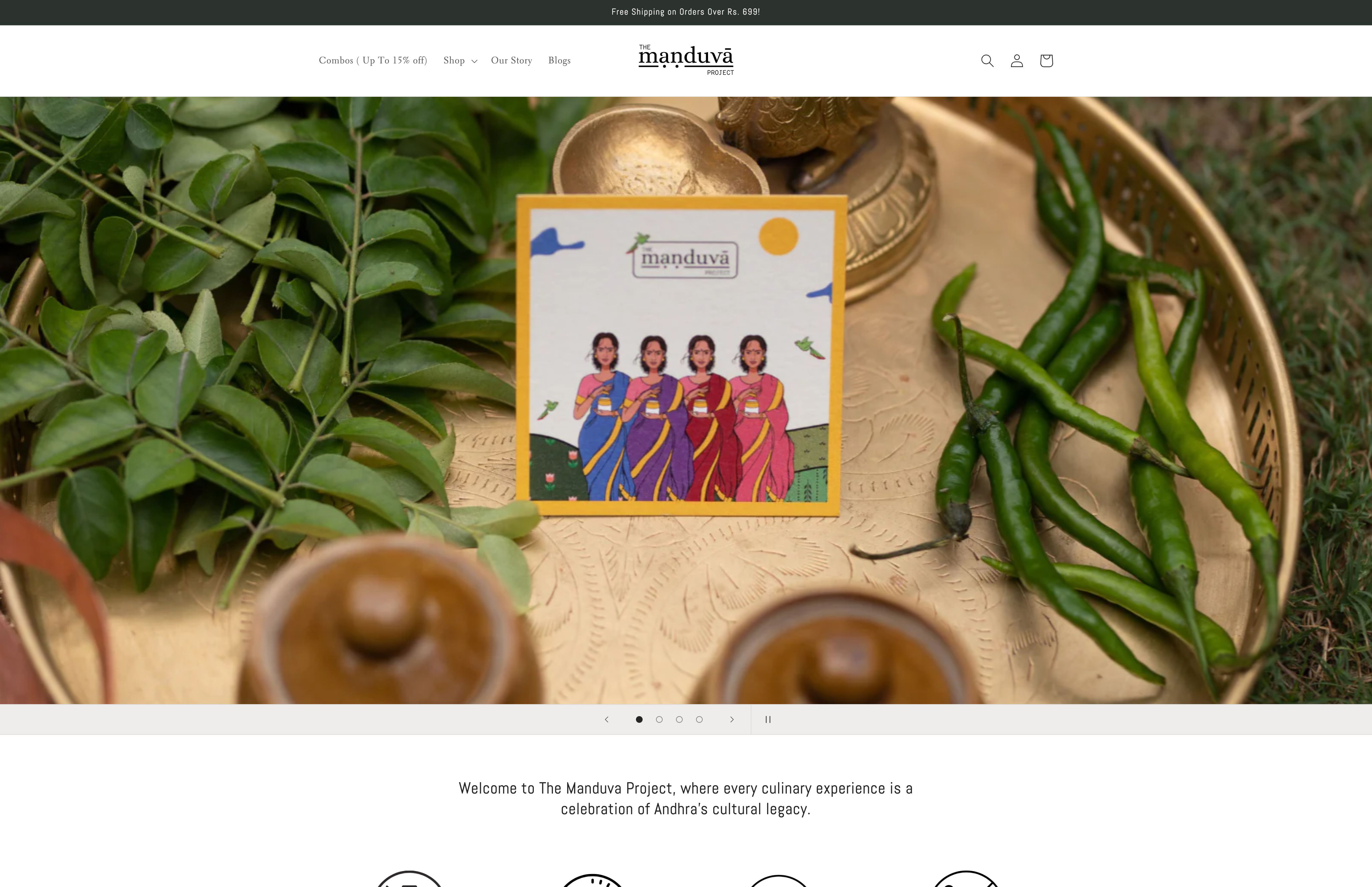 Digital Marketing + Website for The Manduva Project screenshot 6