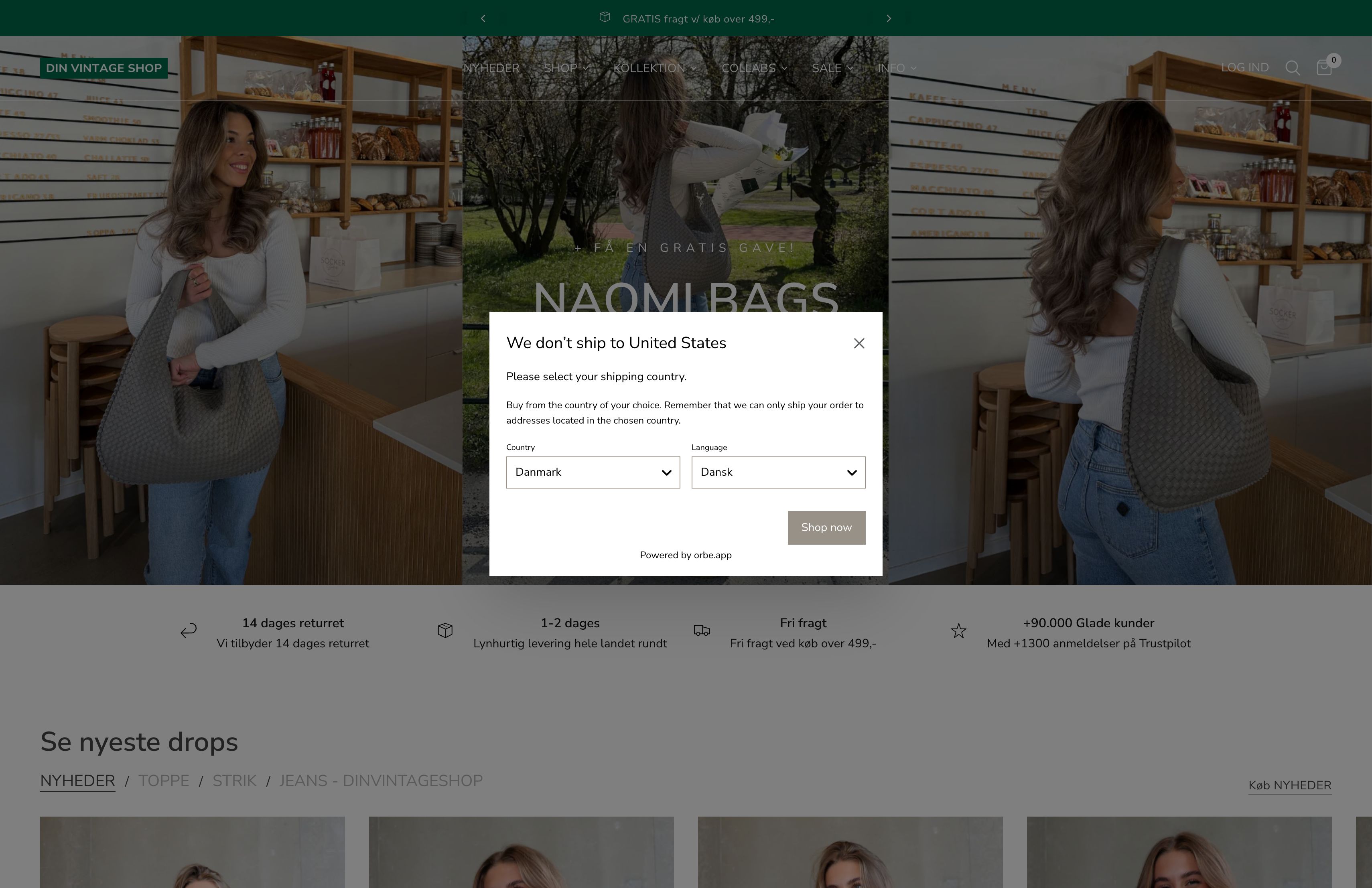 DinVintageShop: New storefront & upgrading to Shopify Plus+ screenshot 5