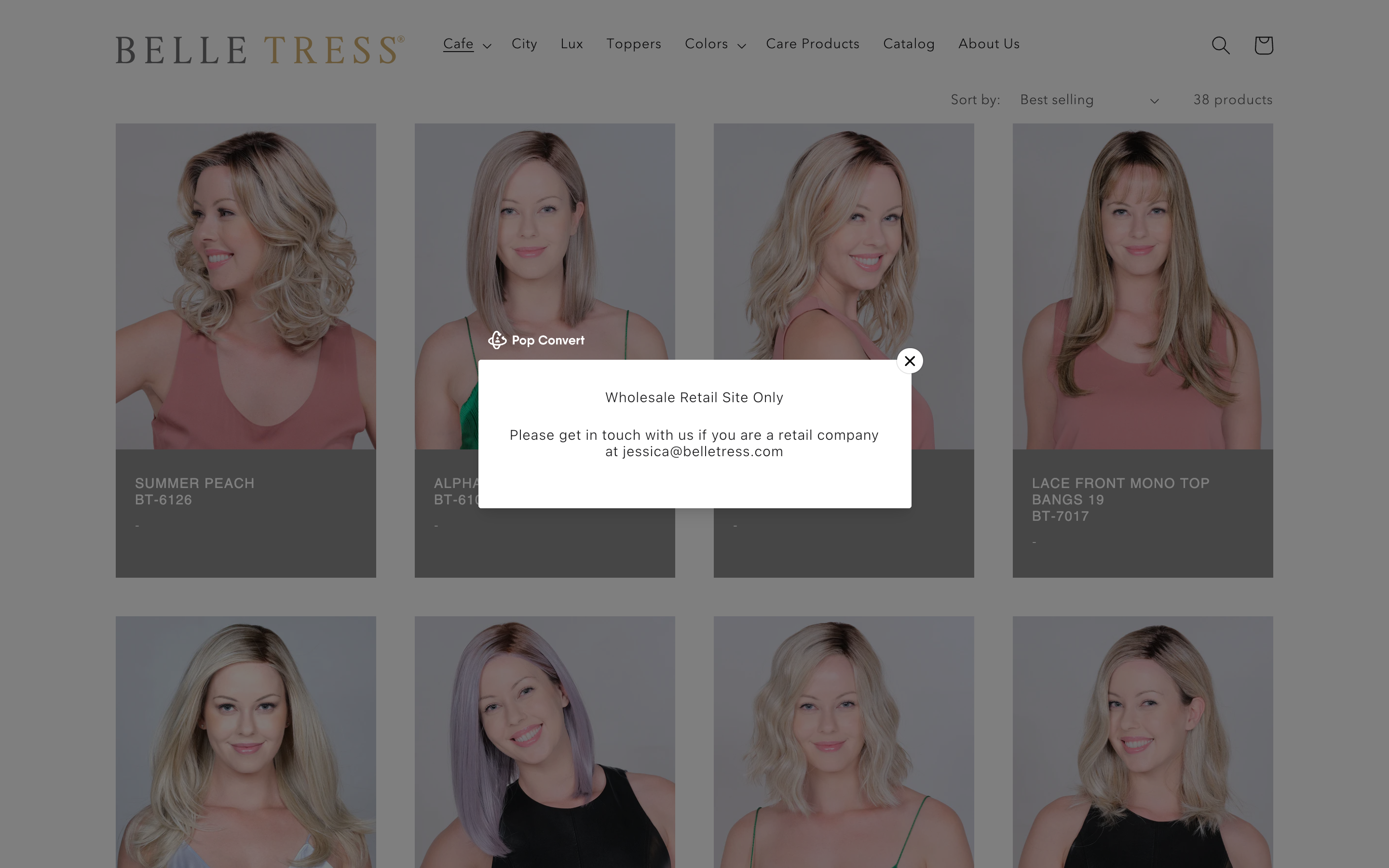 B2B Website Development on Shopify screenshot 3