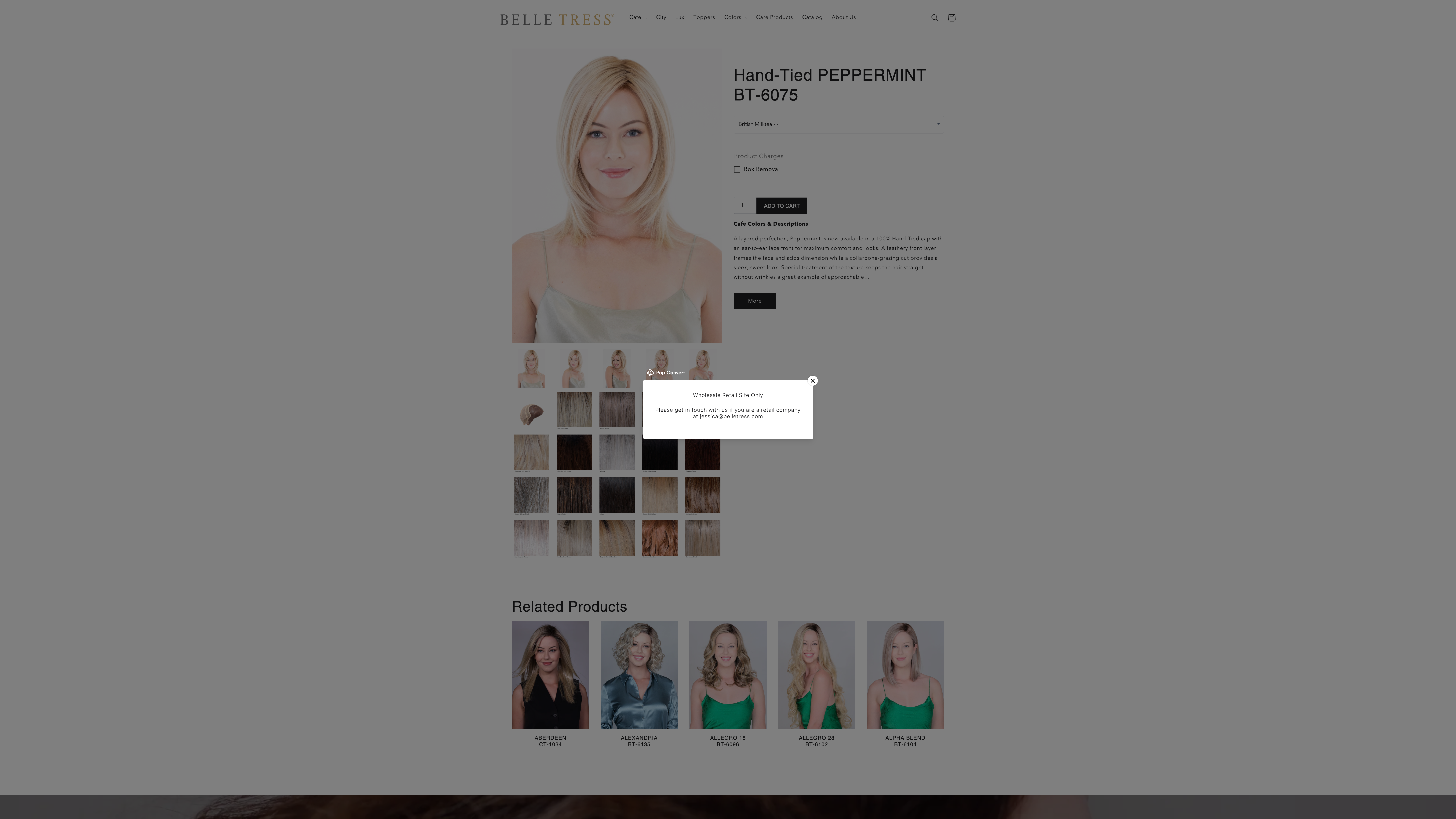 B2B Website Development on Shopify screenshot 5