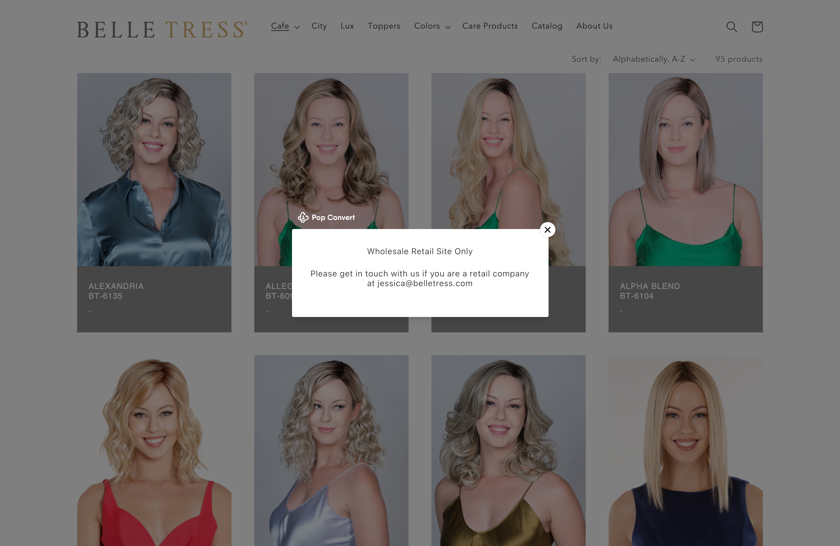 B2B Website Development on Shopify screenshot