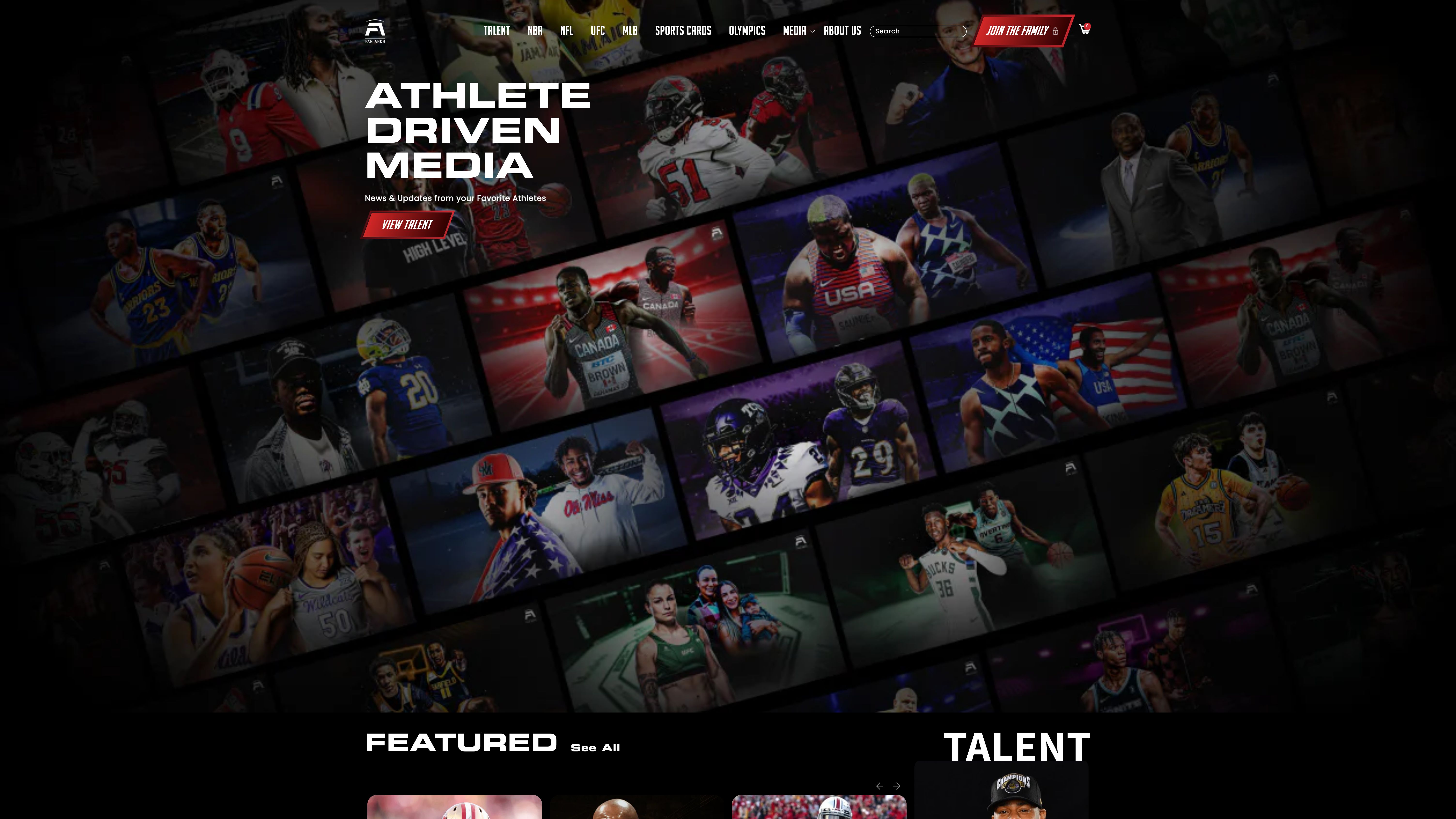 Fan Arch 2.0 screenshot 6