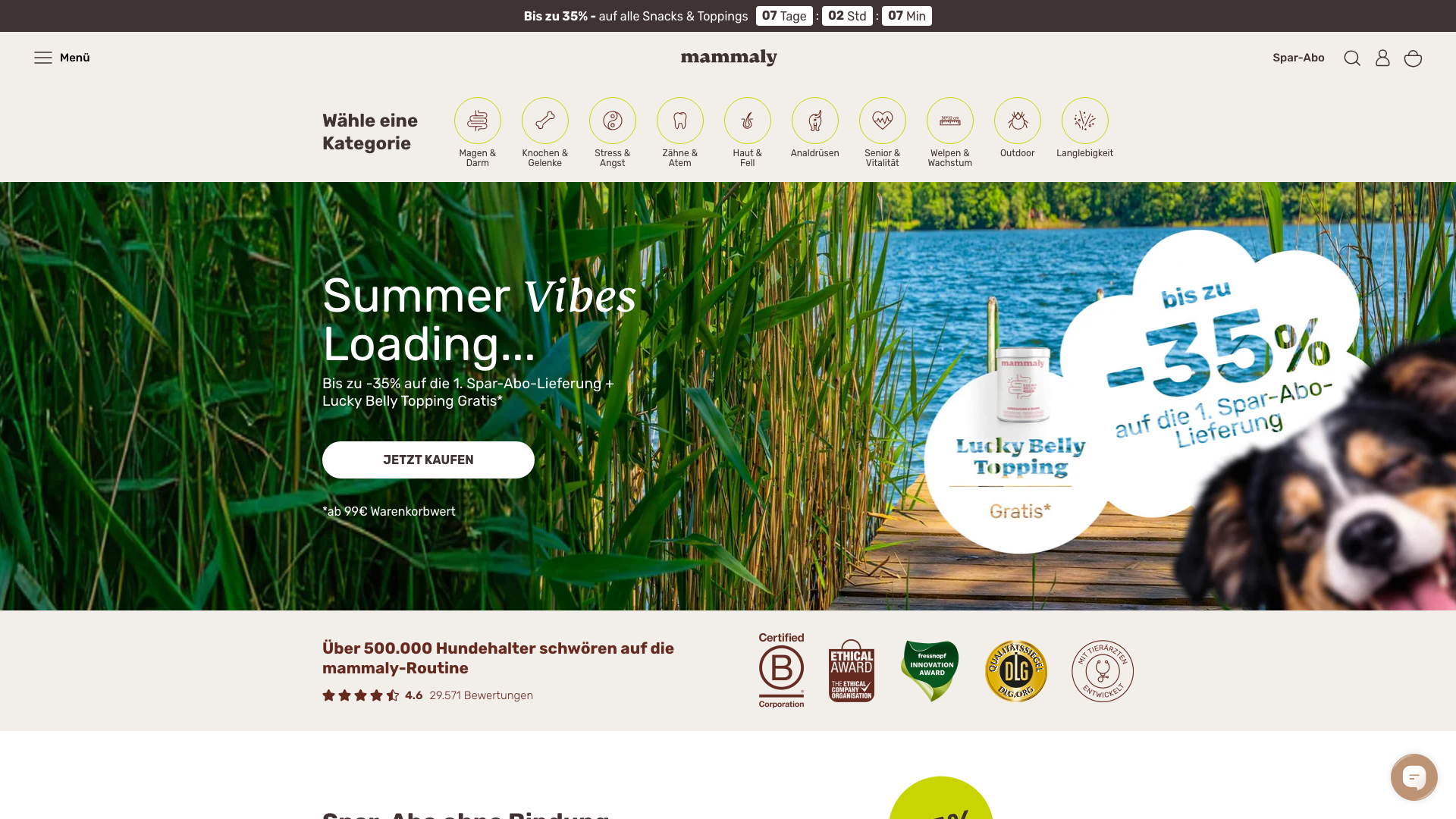 Shopify Plus fuer Mammaly | Internationalisierung & Subscriptions screenshot
