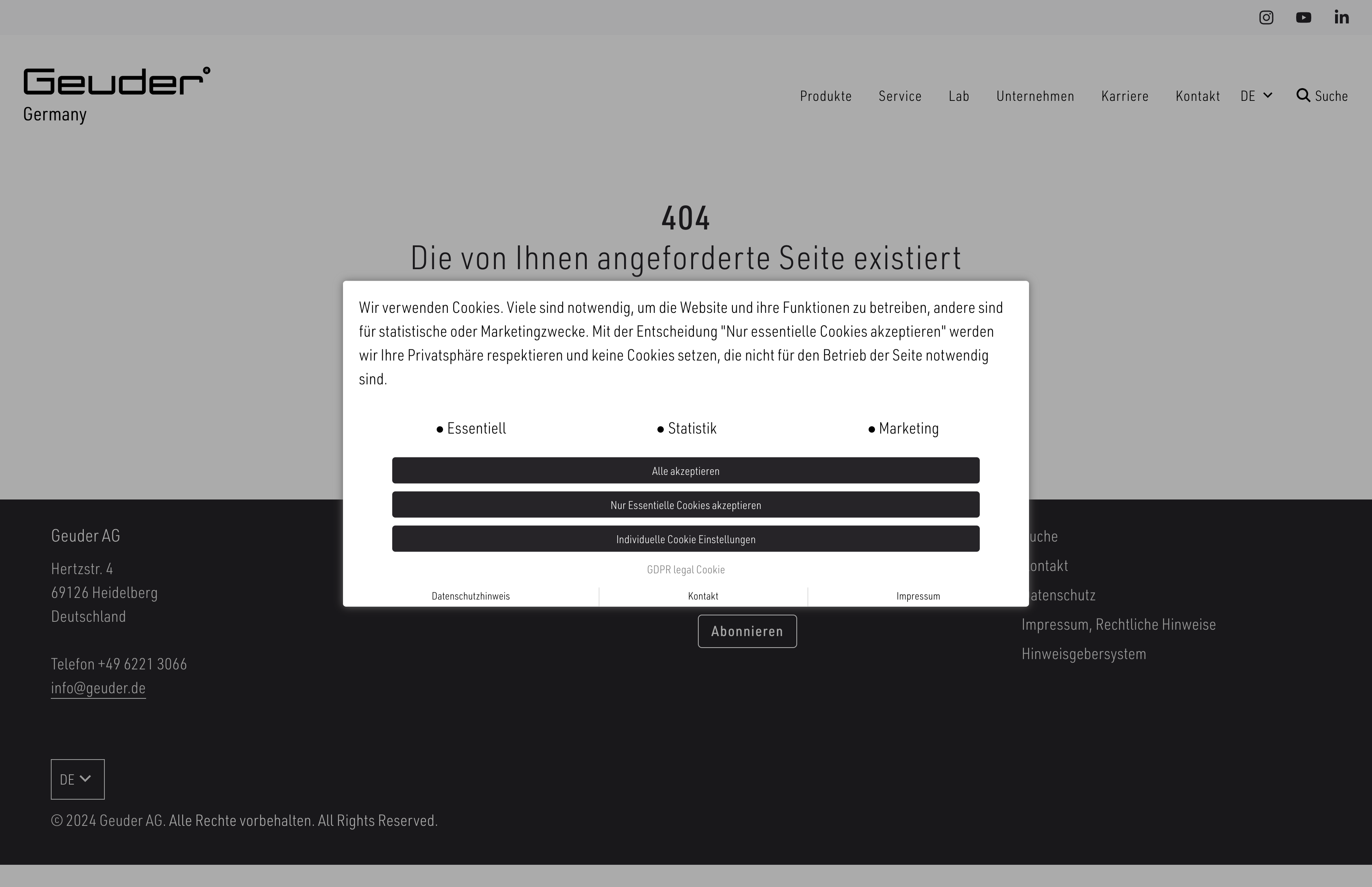 Schnelle Umsetzung von Shopify als B2B Portfolio Website – geuder.de screenshot 3