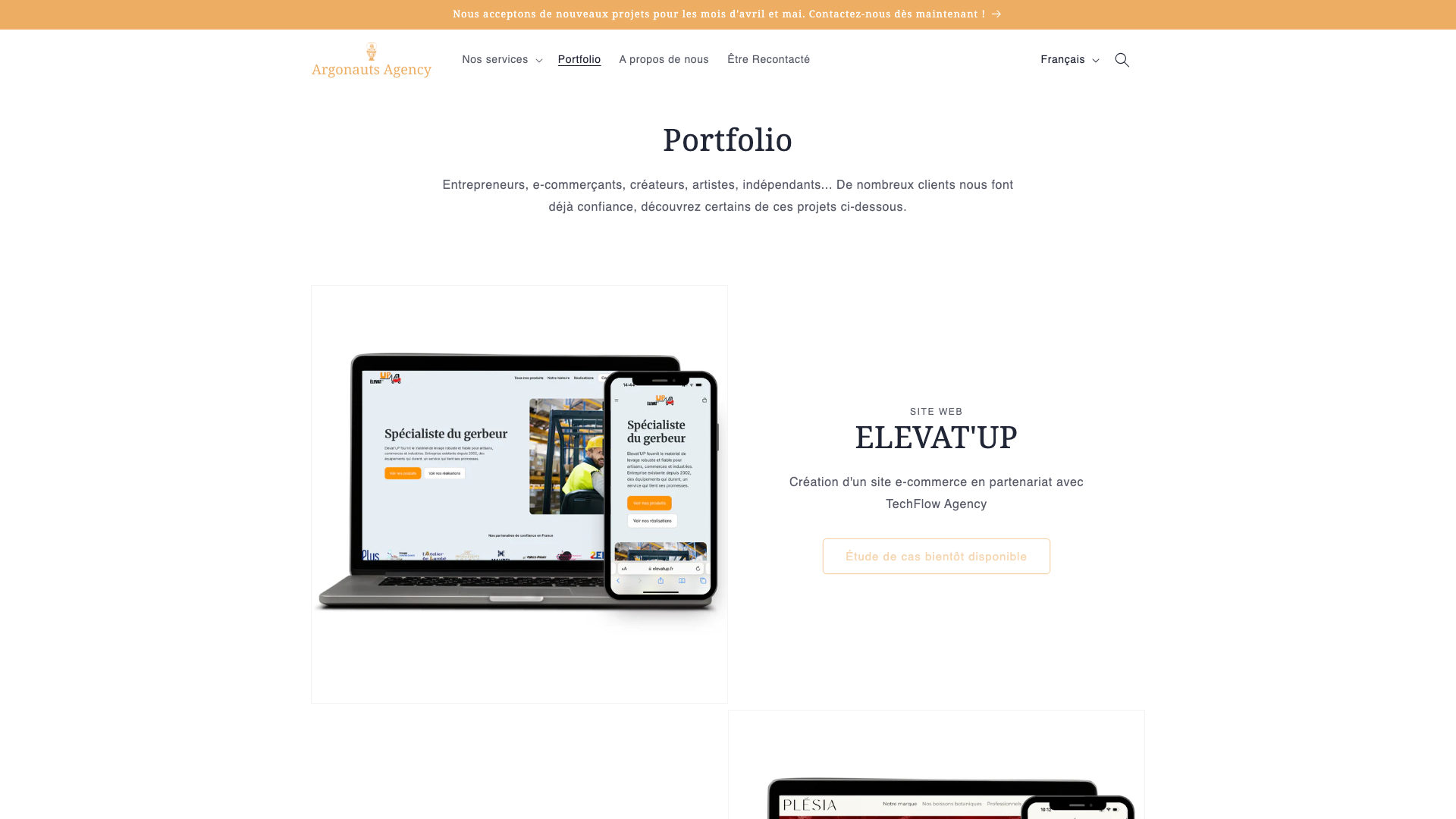 Portfolio screenshot