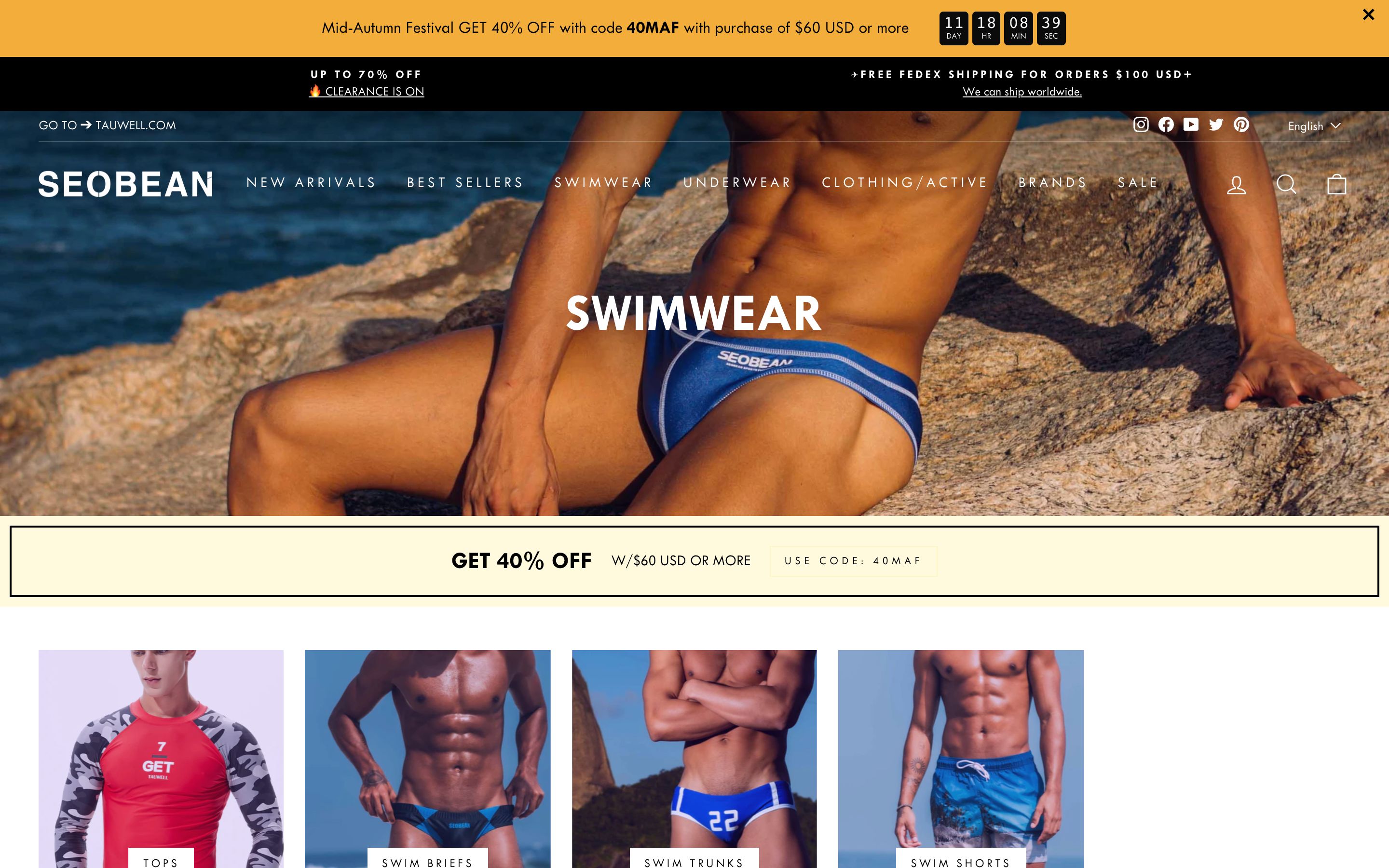 Shopify Custom Design and Setup for SEOBEAN screenshot 3