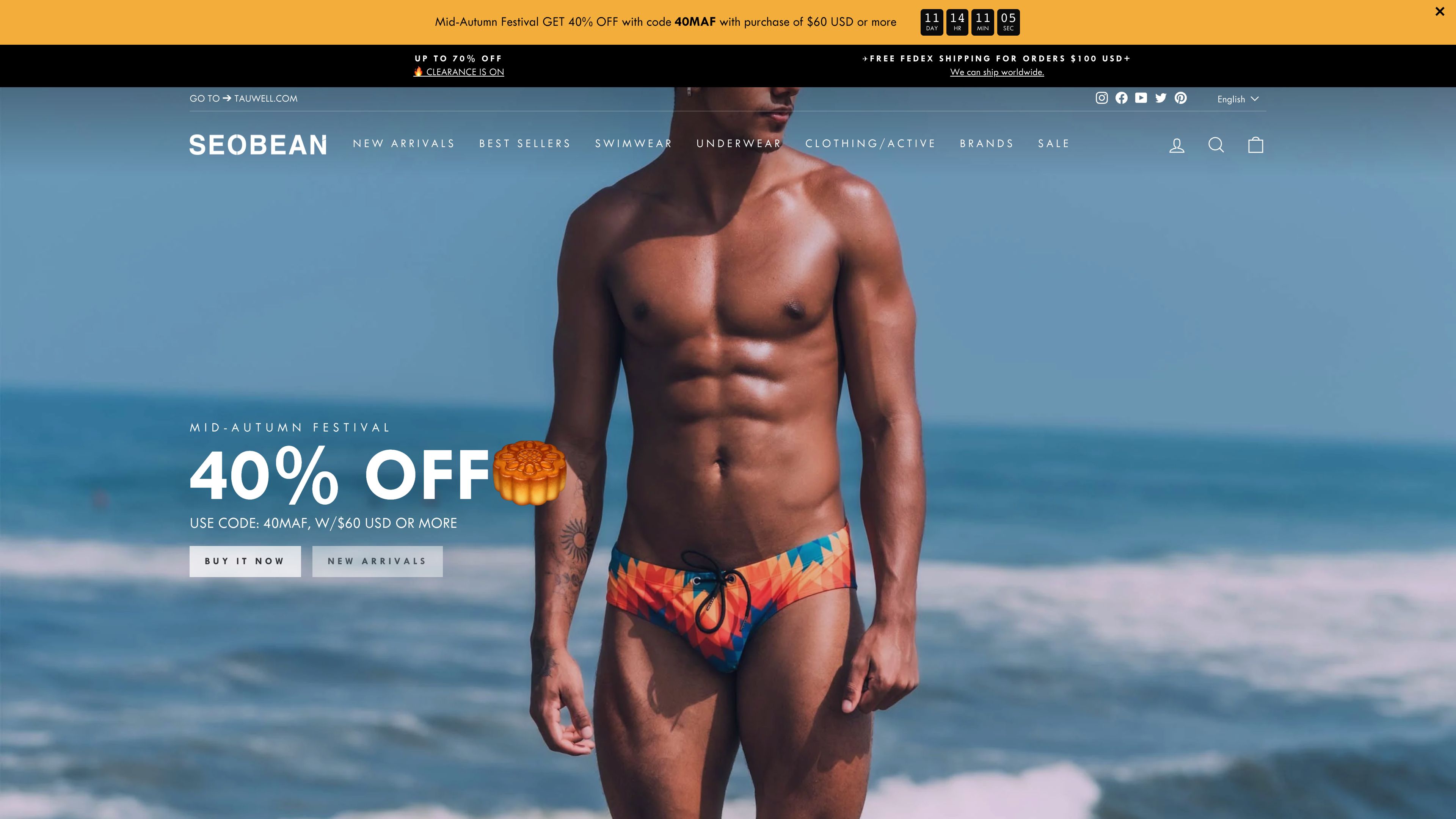 Shopify Custom Design and Setup for SEOBEAN screenshot 7