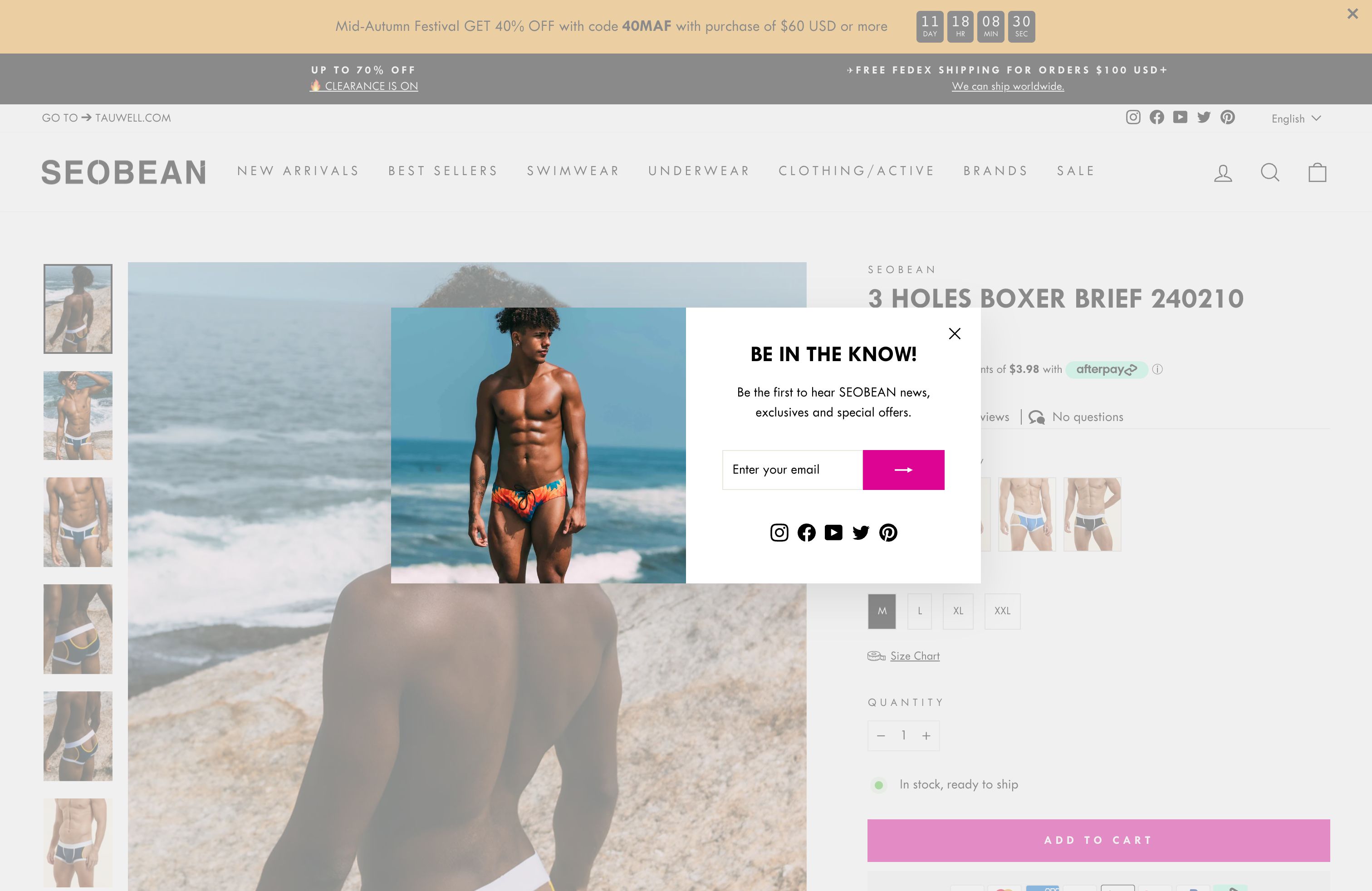 Shopify Custom Design and Setup for SEOBEAN screenshot 4