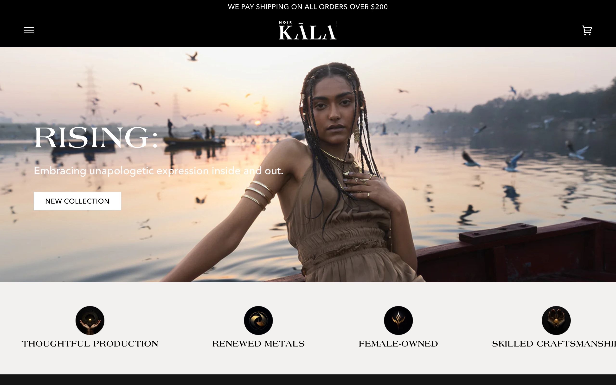 Social Media Marketing ( Paid & Organic ) for Noirkala screenshot 6