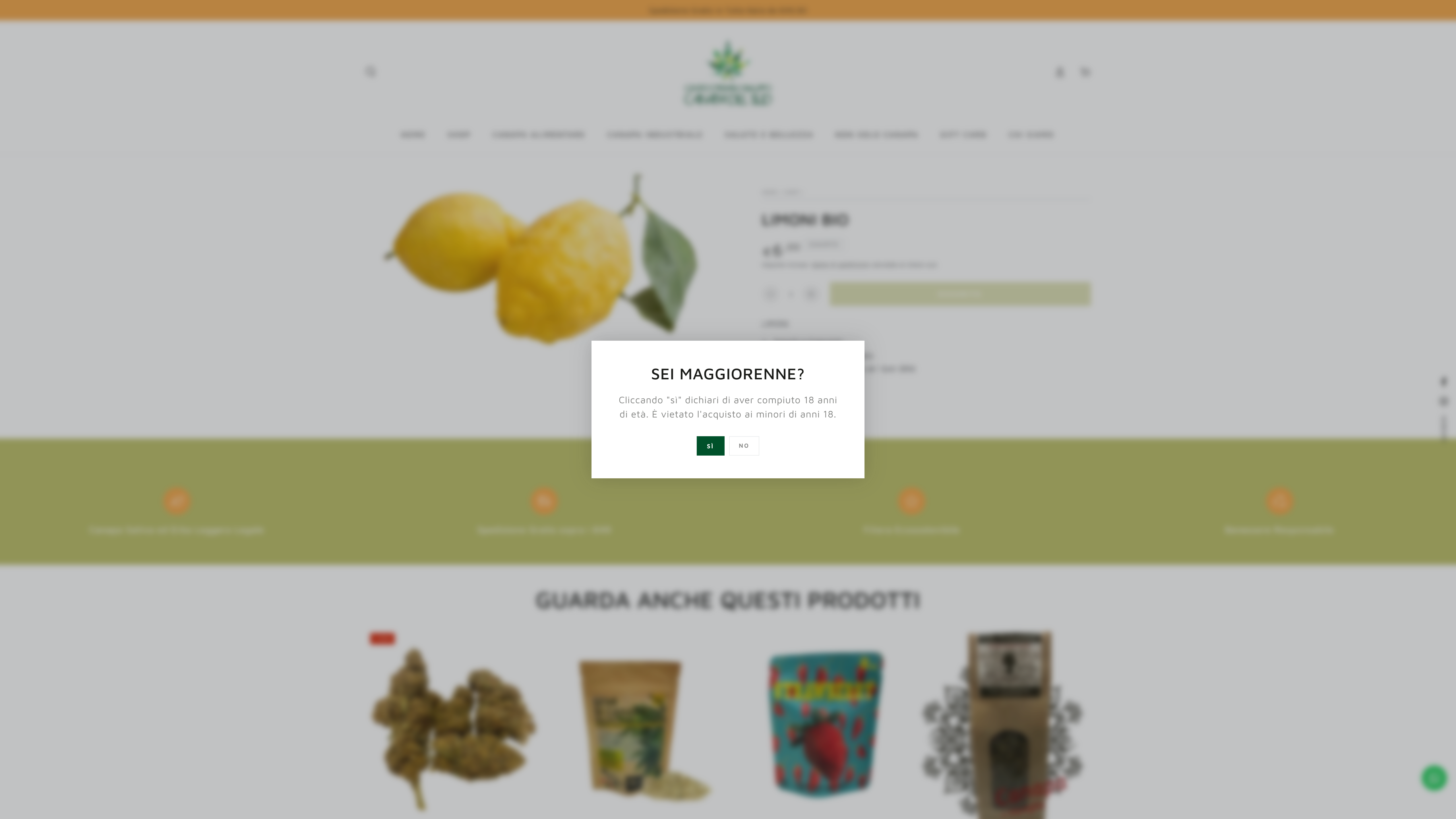 Canapa del Sud screenshot 4