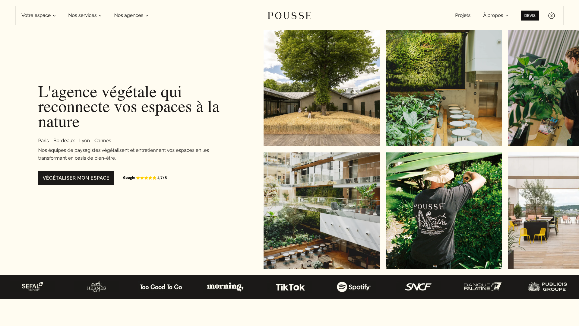 Pousse