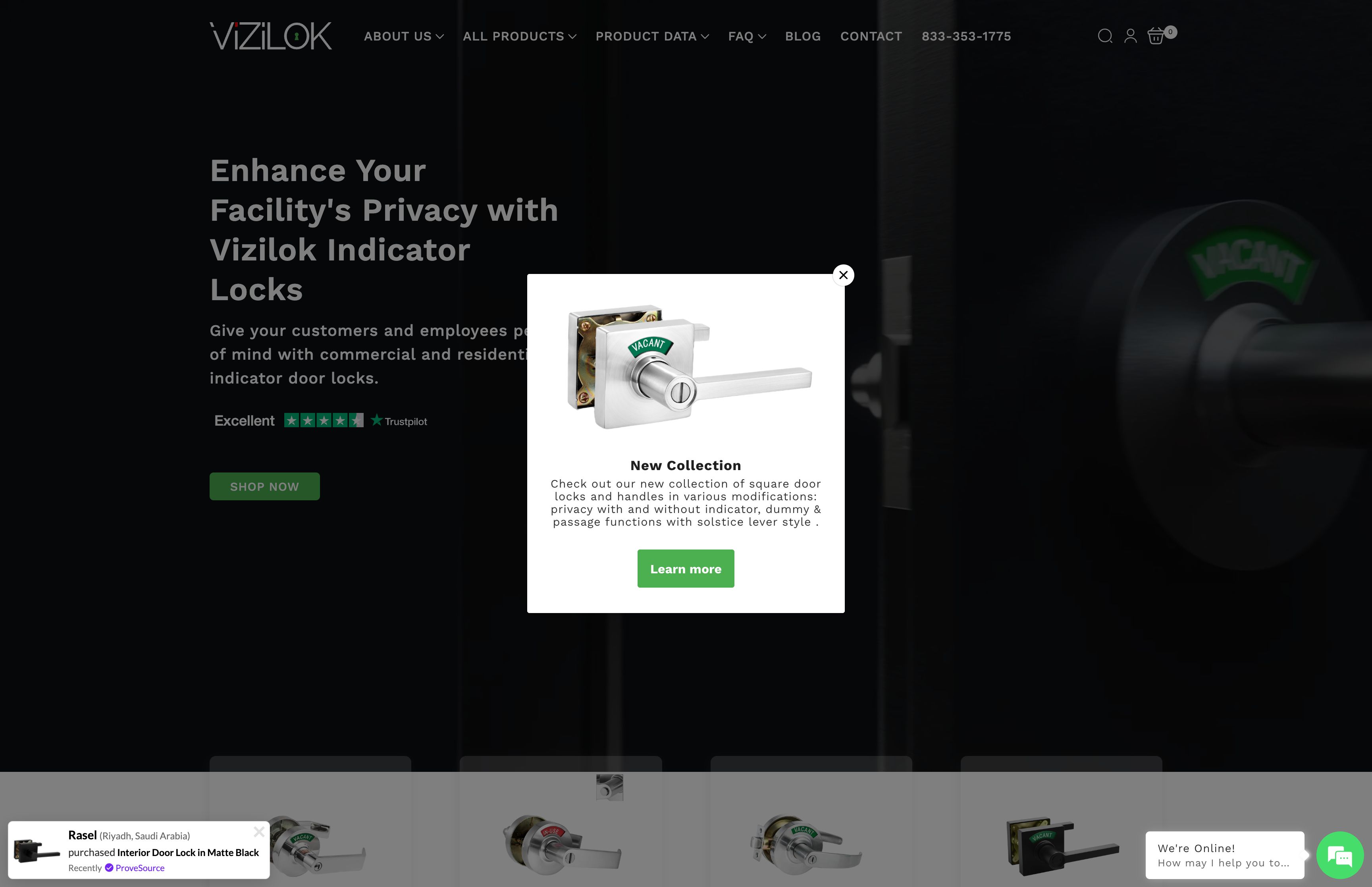 Vizilok - Design Migration and Landing Page Creation screenshot 4