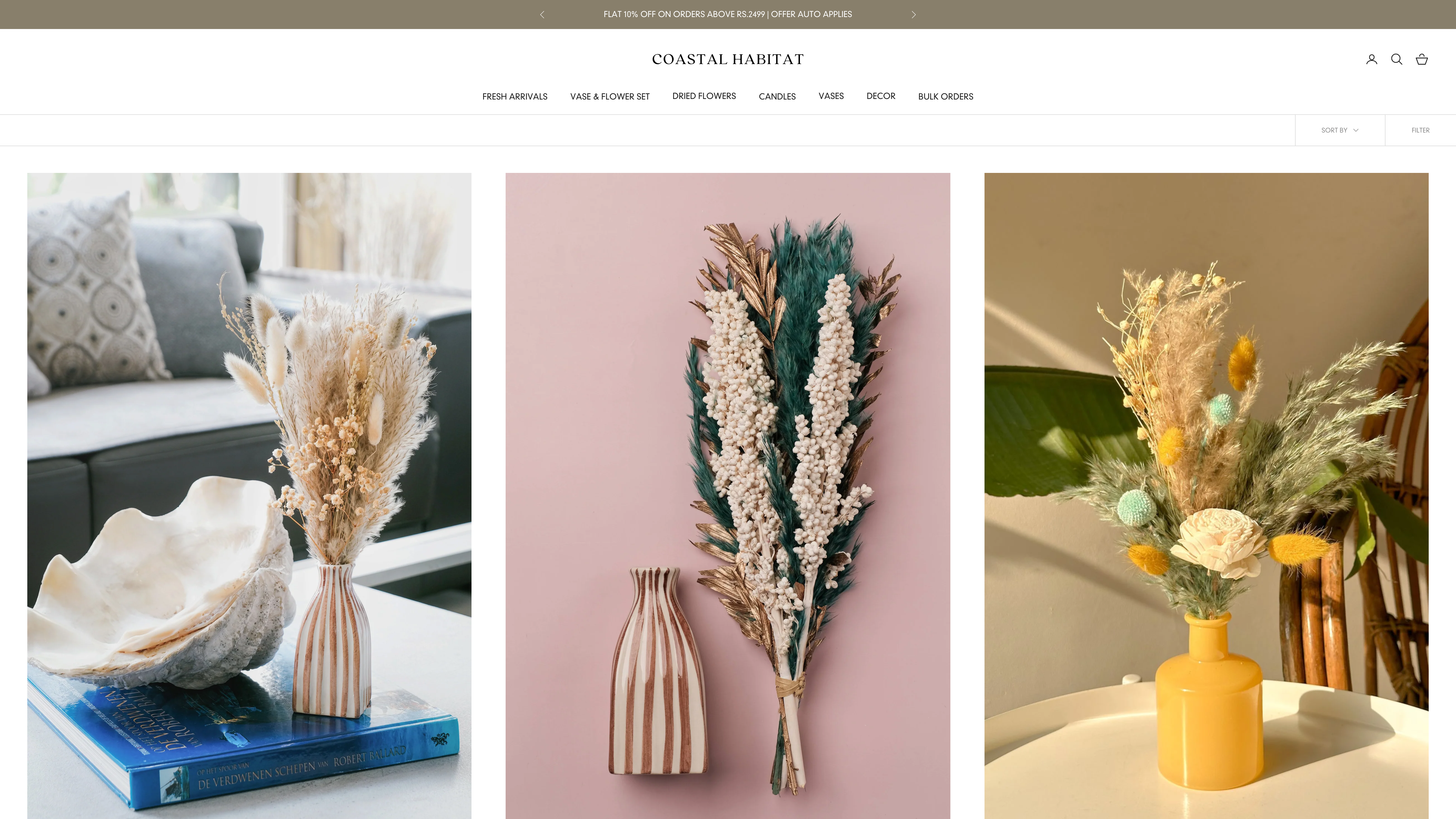 Coastal Habitat: Website & Branding for Optimal UI/UX screenshot 2