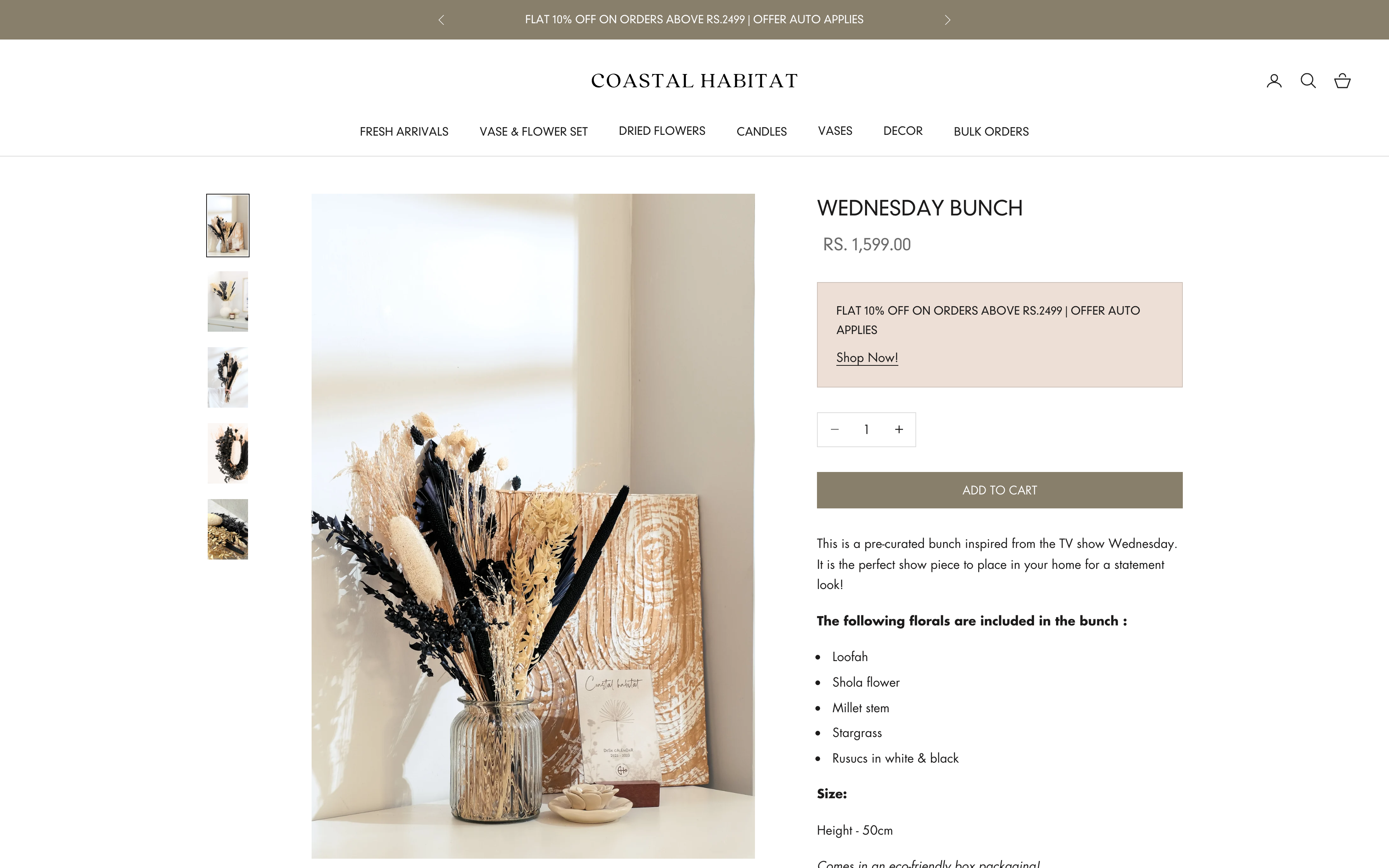 Coastal Habitat: Website & Branding for Optimal UI/UX screenshot 3