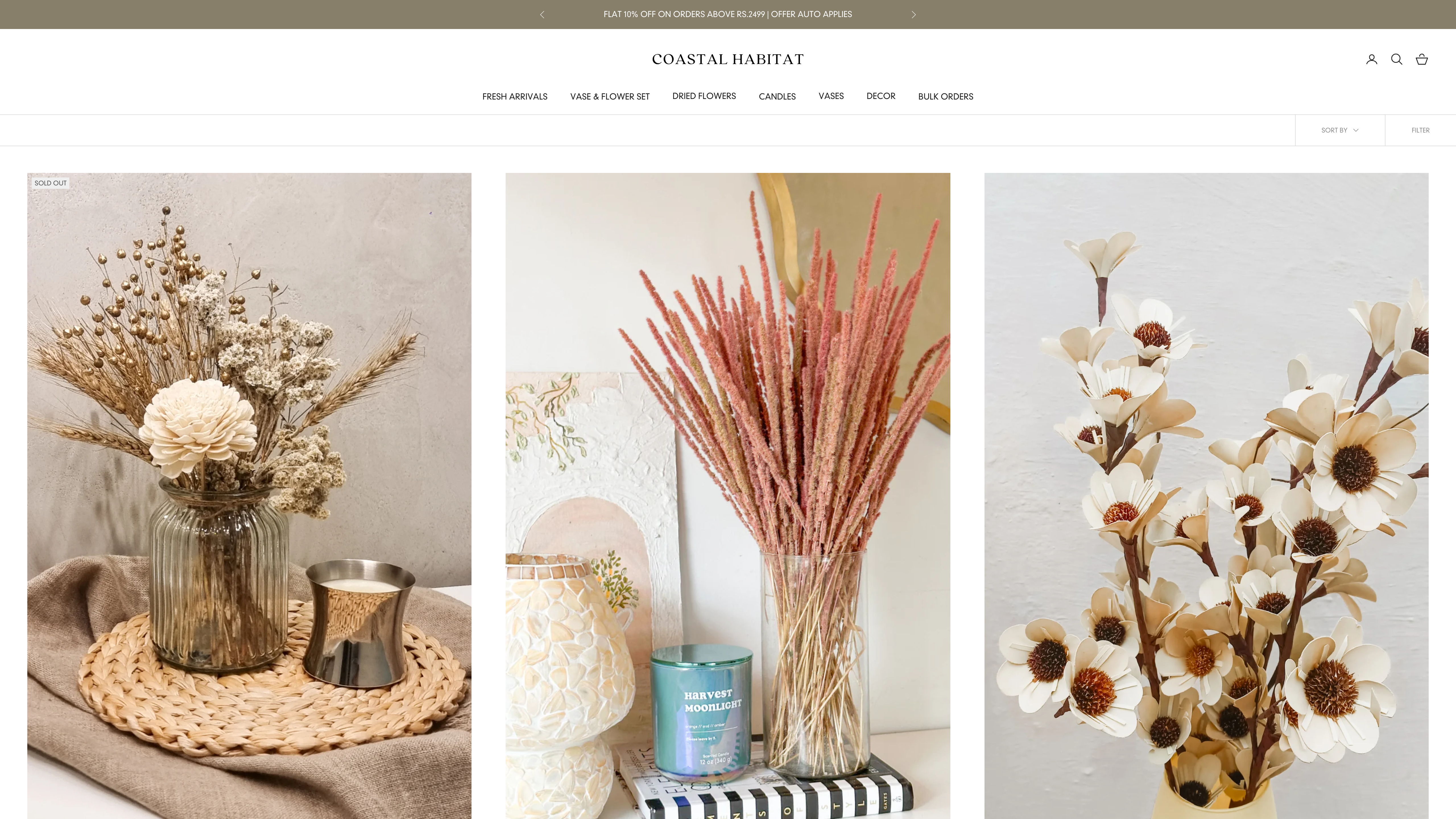 Coastal Habitat: Website & Branding for Optimal UI/UX screenshot 5