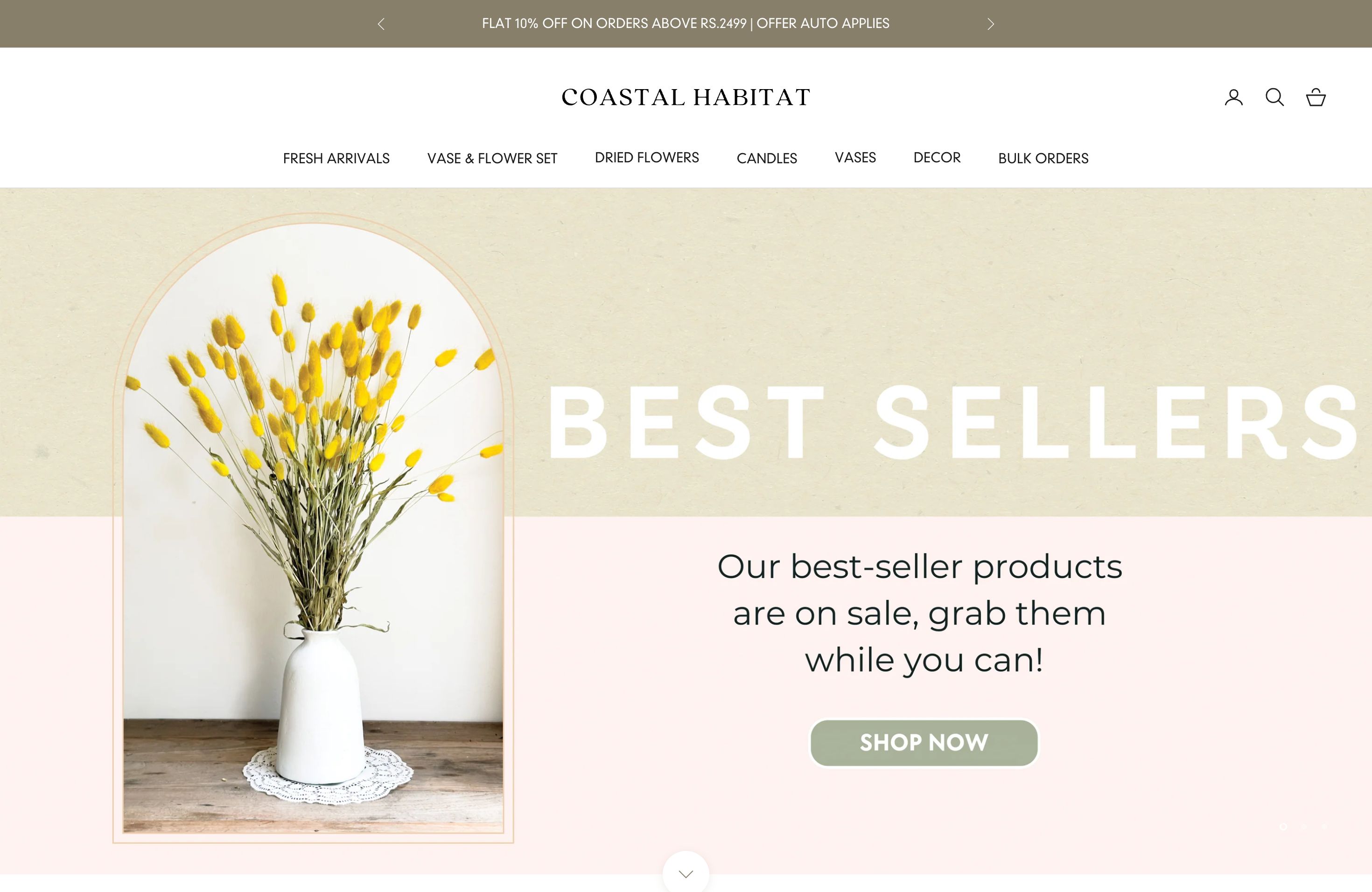 Coastal Habitat: Website & Branding for Optimal UI/UX screenshot 6