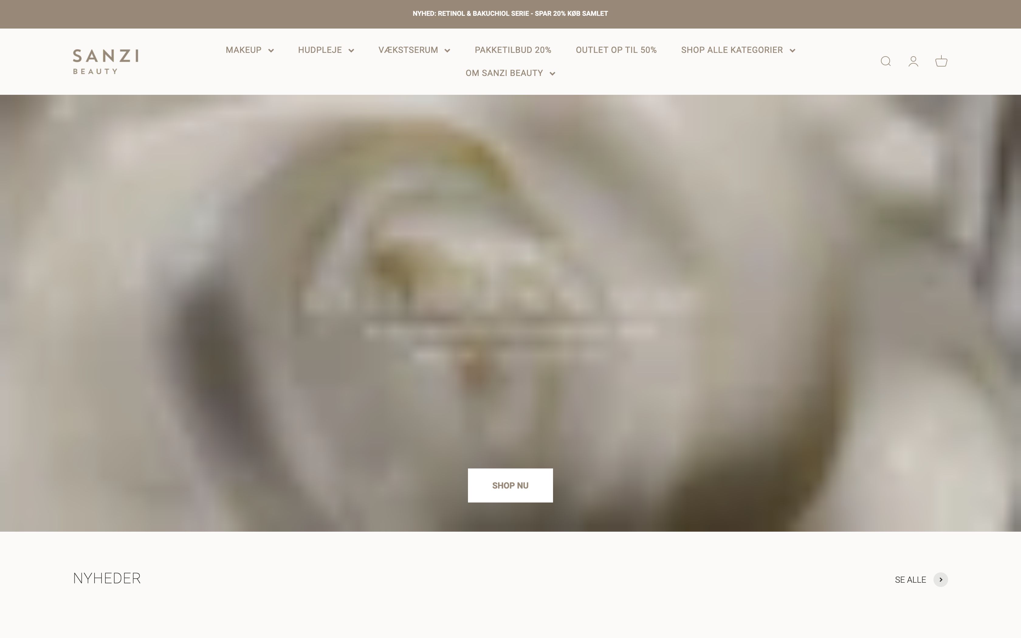 Rebuilding the Shopify store screenshot 5