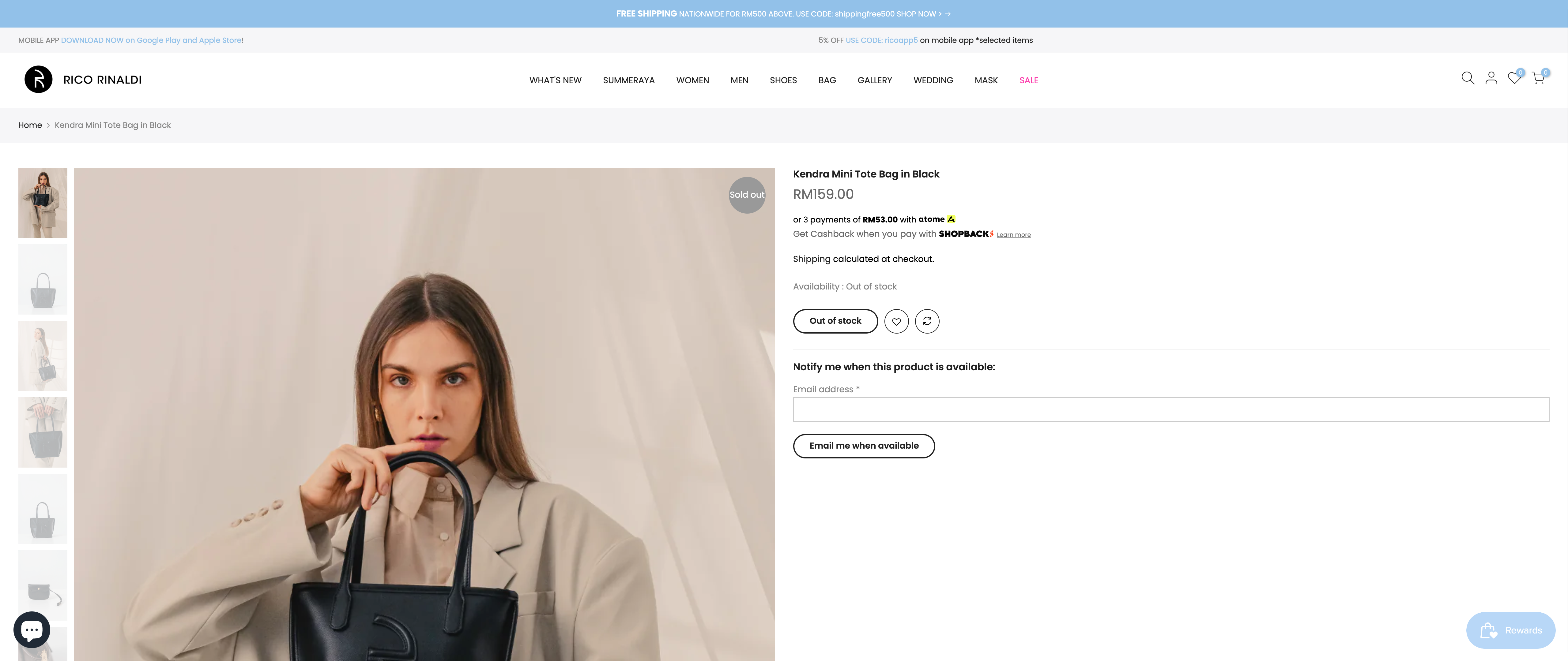Ricorinaldi.com screenshot 4