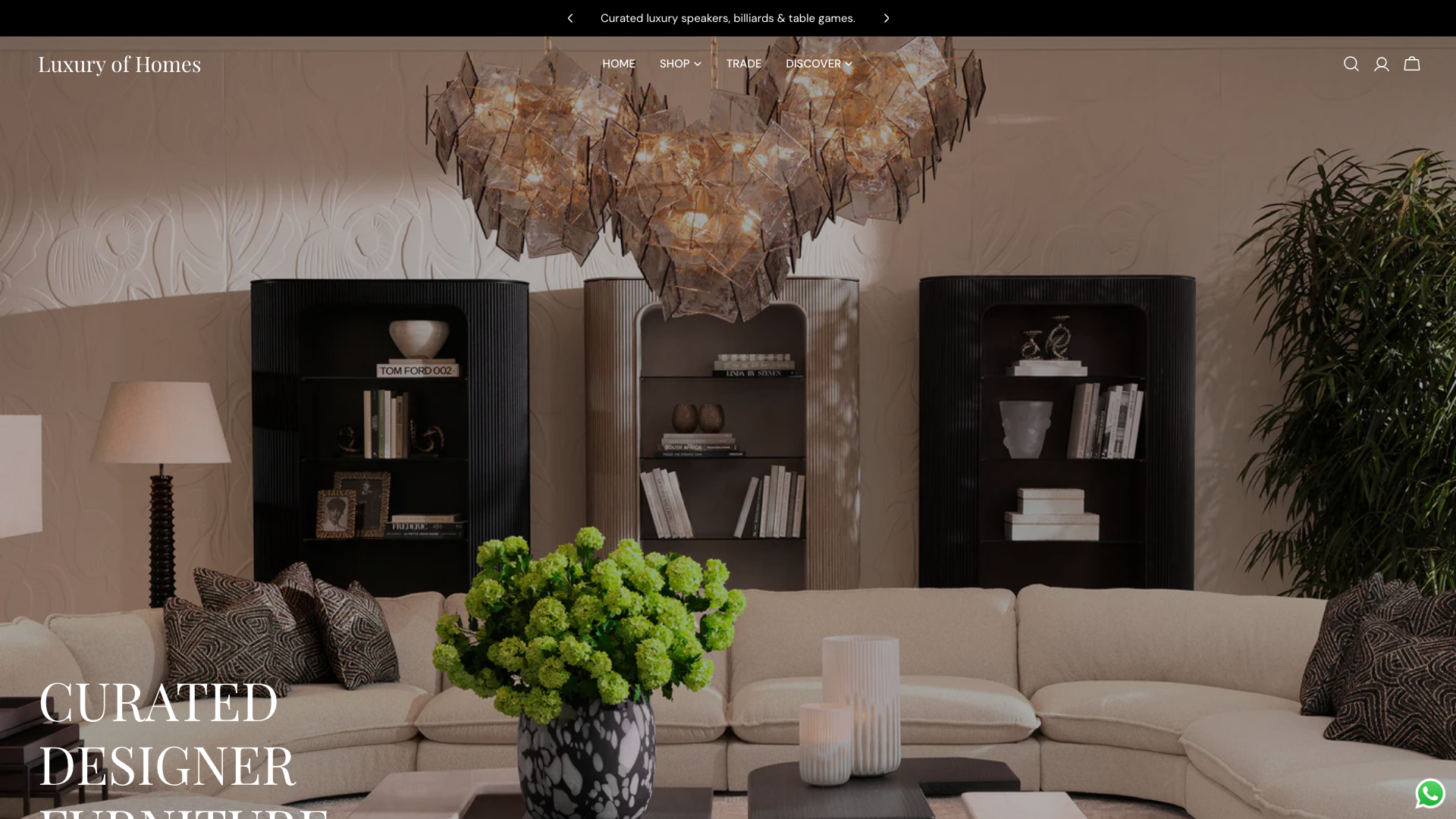 Store Example: Luxury of Homes