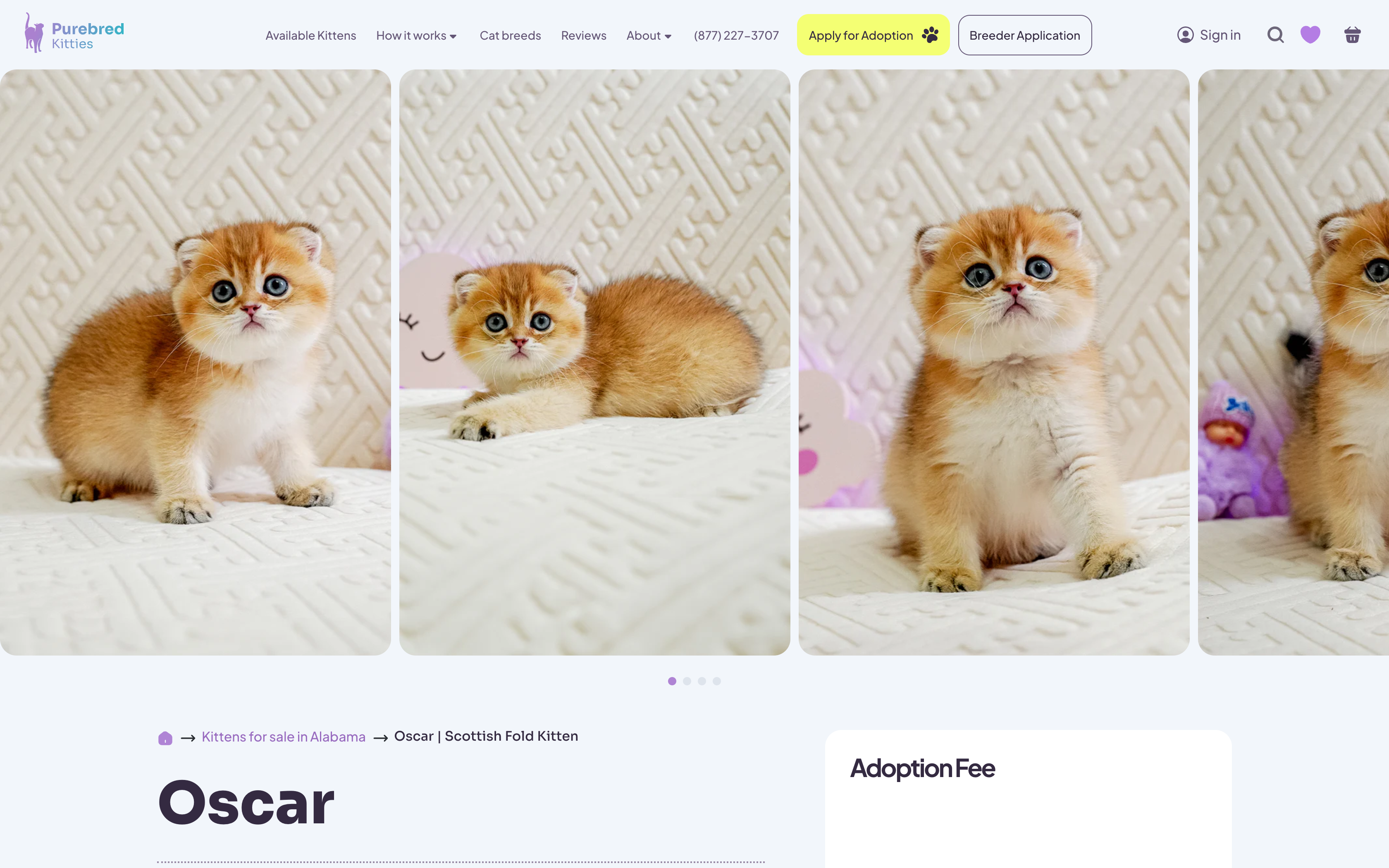 Pure Bred Kitties screenshot 6