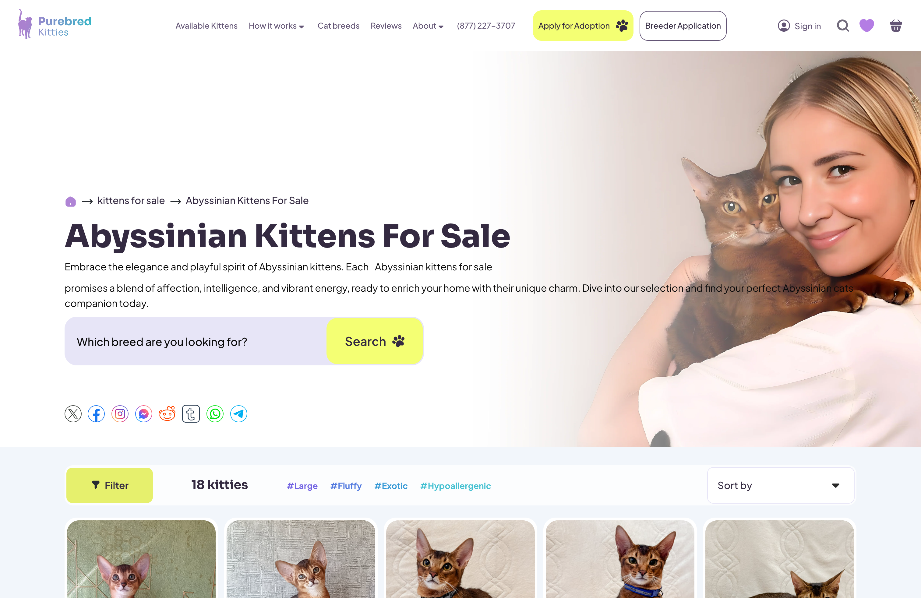 Pure Bred Kitties screenshot 2