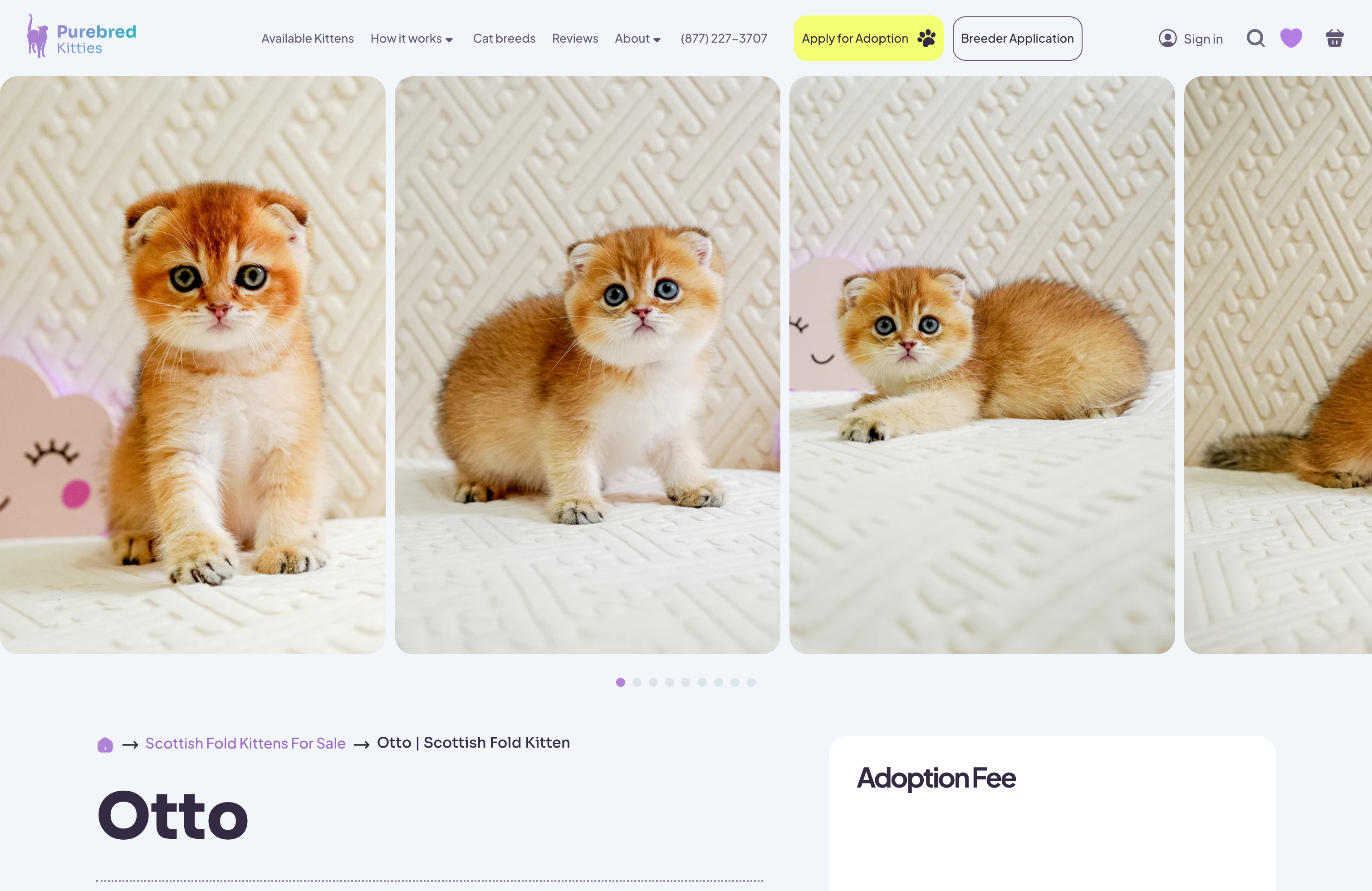 Pure Bred Kitties screenshot 4