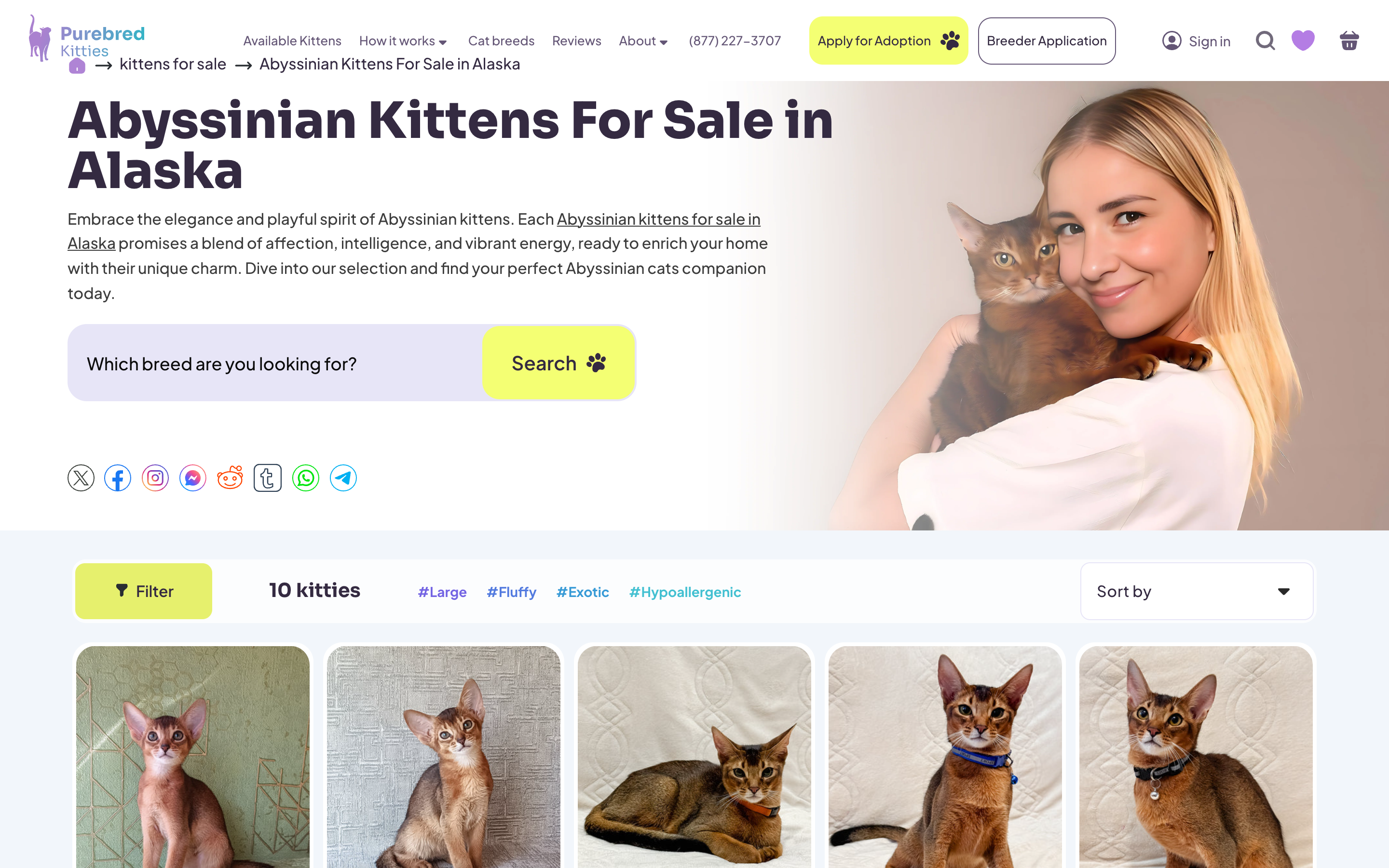 Pure Bred Kitties screenshot 3