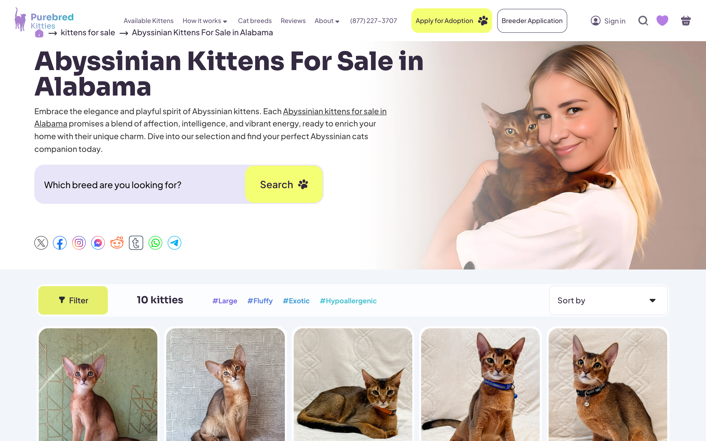 Pure Bred Kitties screenshot 7