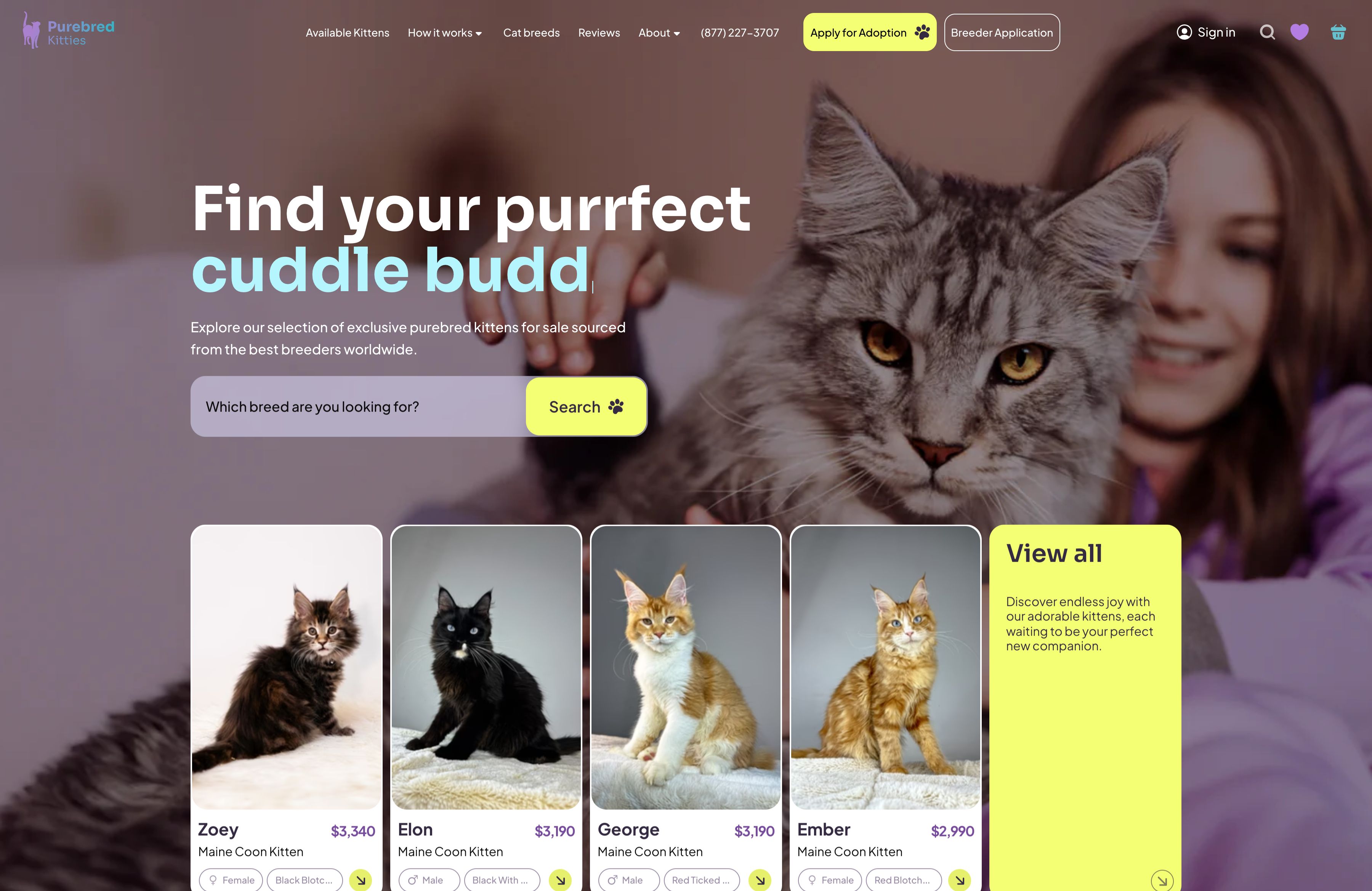 Pure Bred Kitties screenshot