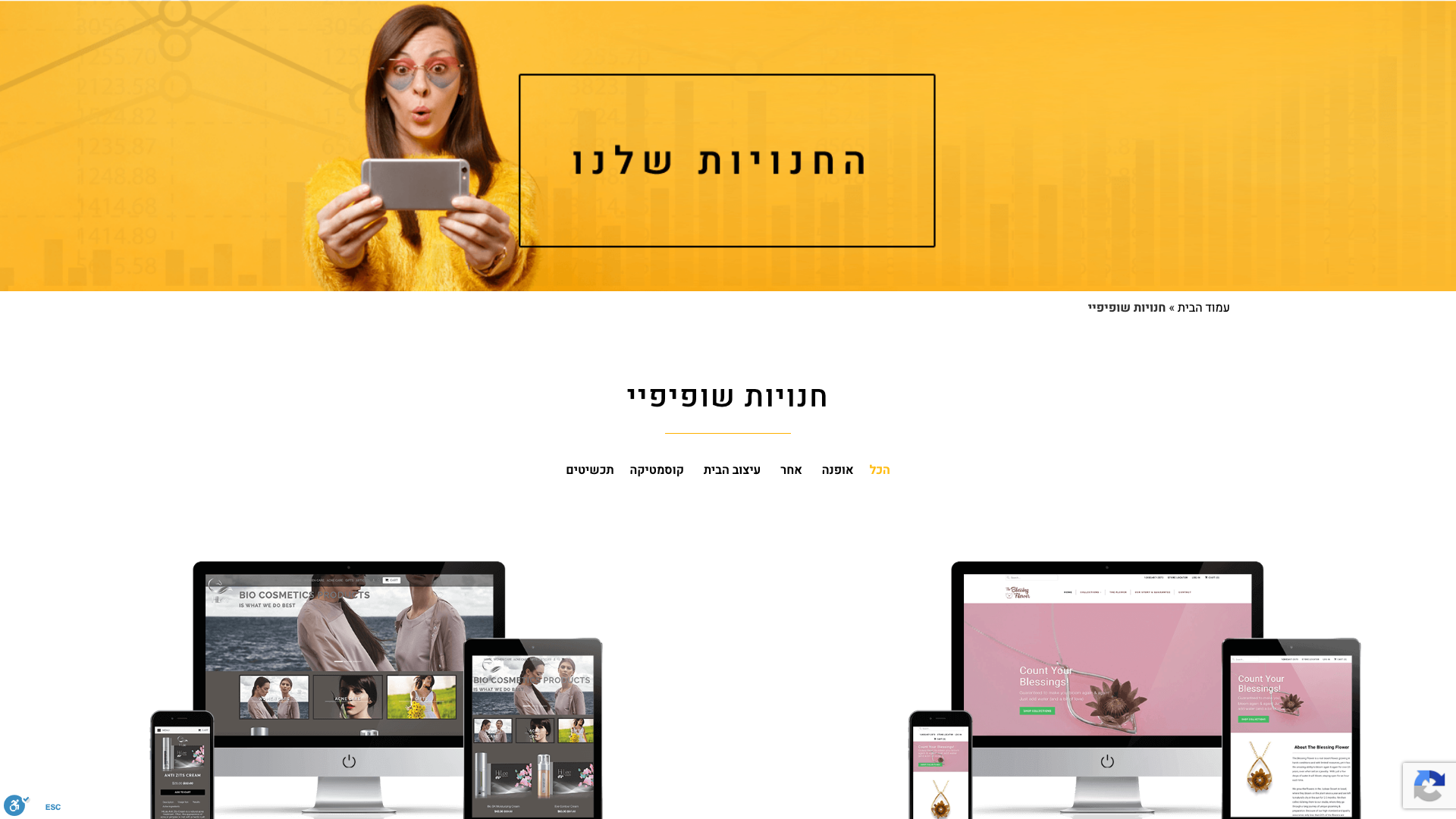 Q-Biz Portfolio