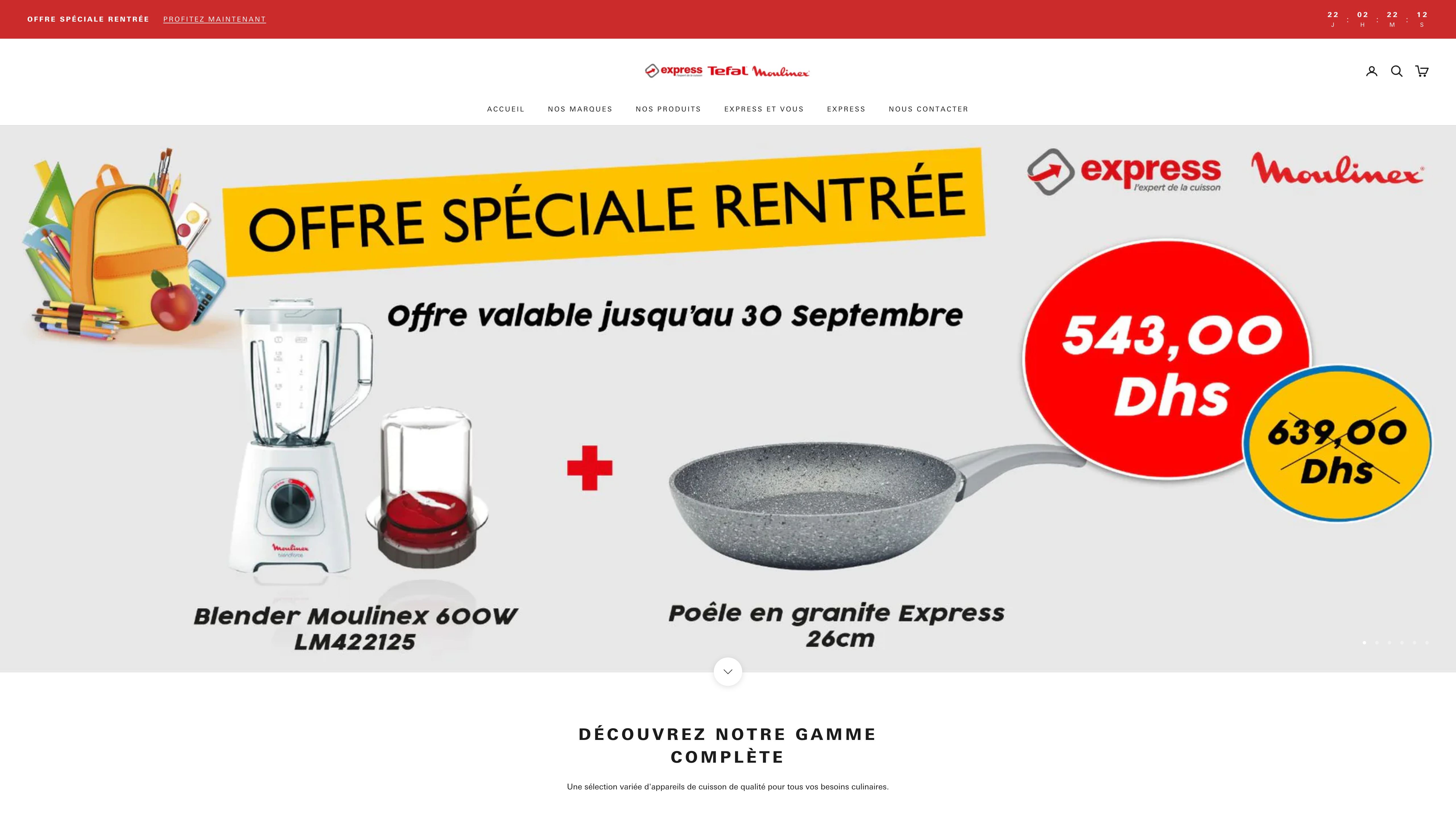 Express - Shopify Website Creation and Media Buying screenshot 7