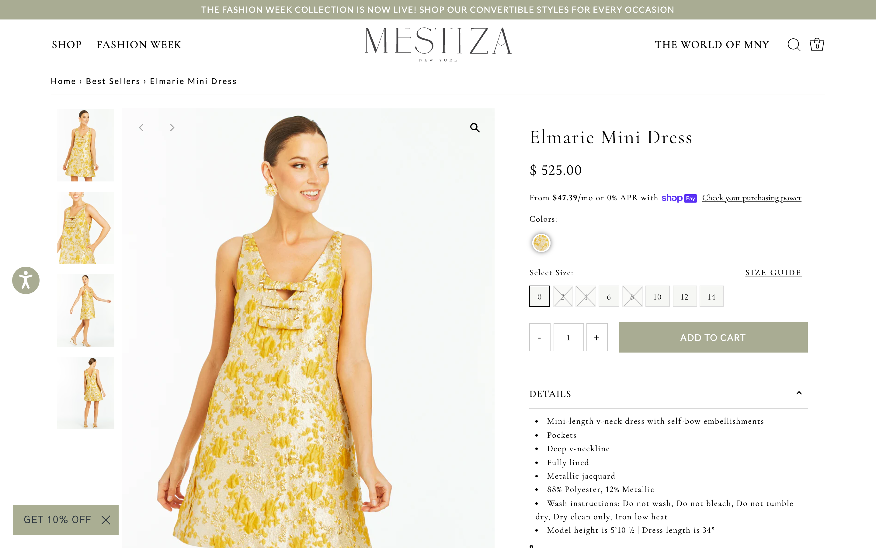 Mestiza NewYork screenshot 3