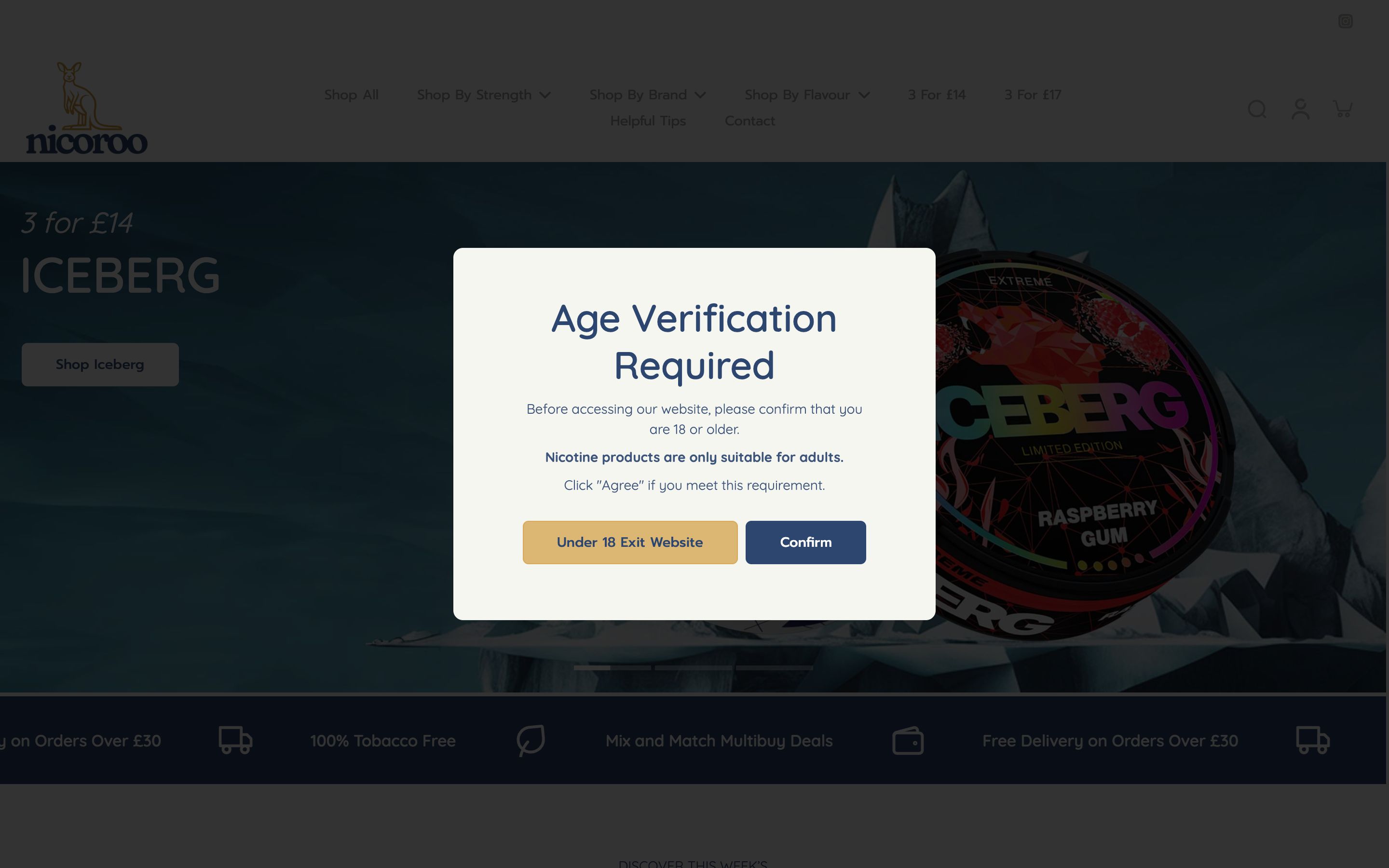 Nicoroo Shopify Store Set Up screenshot 7