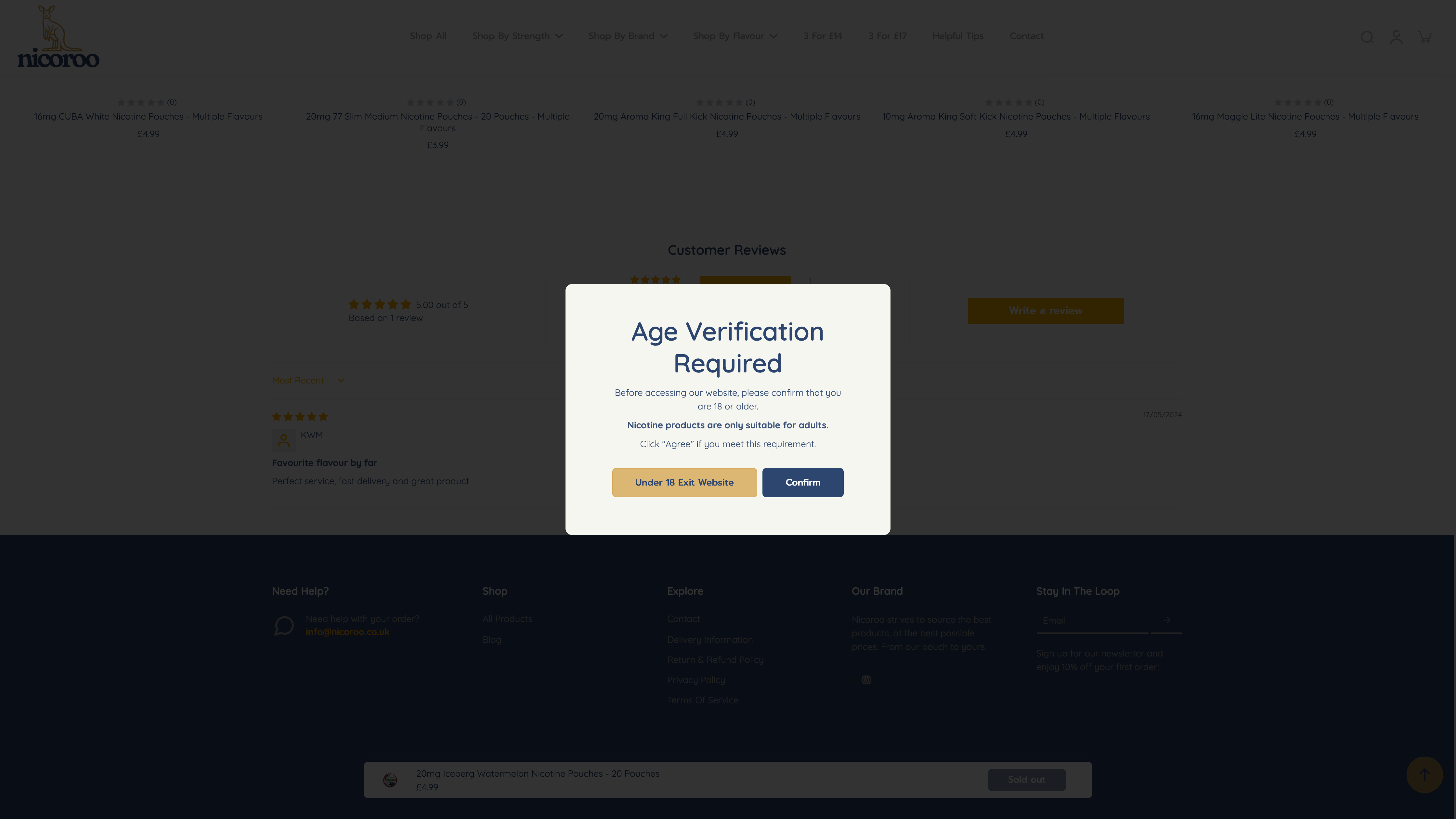Nicoroo Shopify Store Set Up screenshot 4