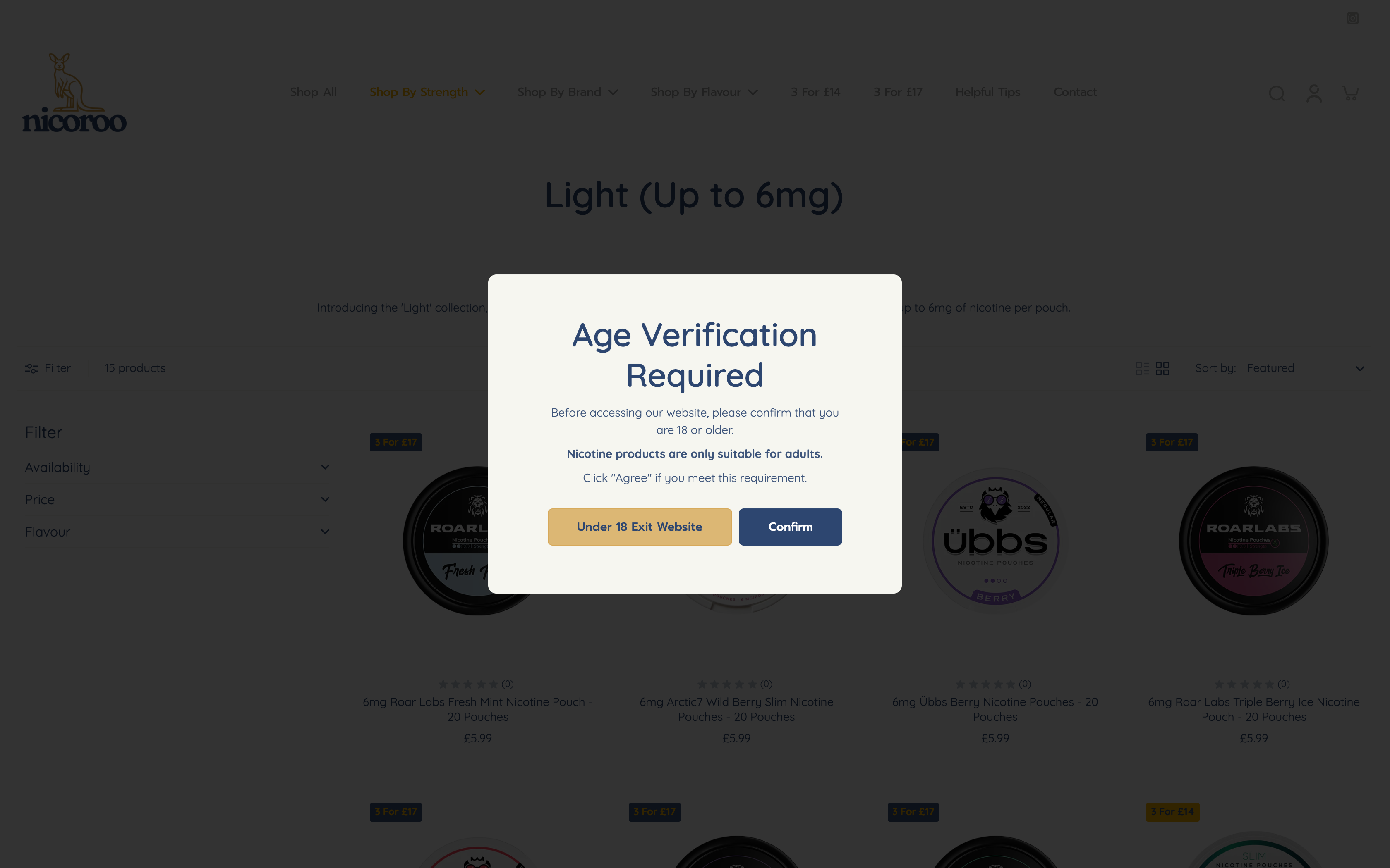 Nicoroo Shopify Store Set Up screenshot 2